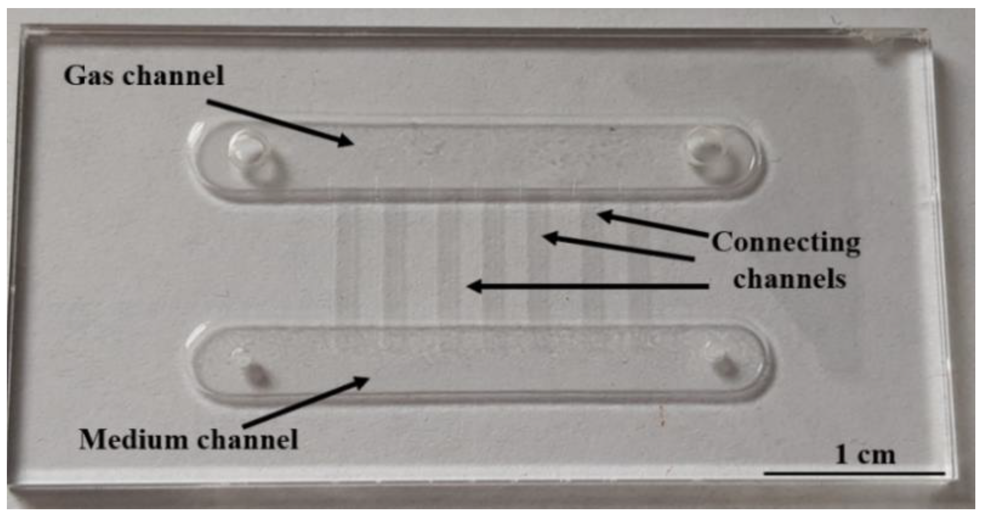 Applsci 12 10627 g005