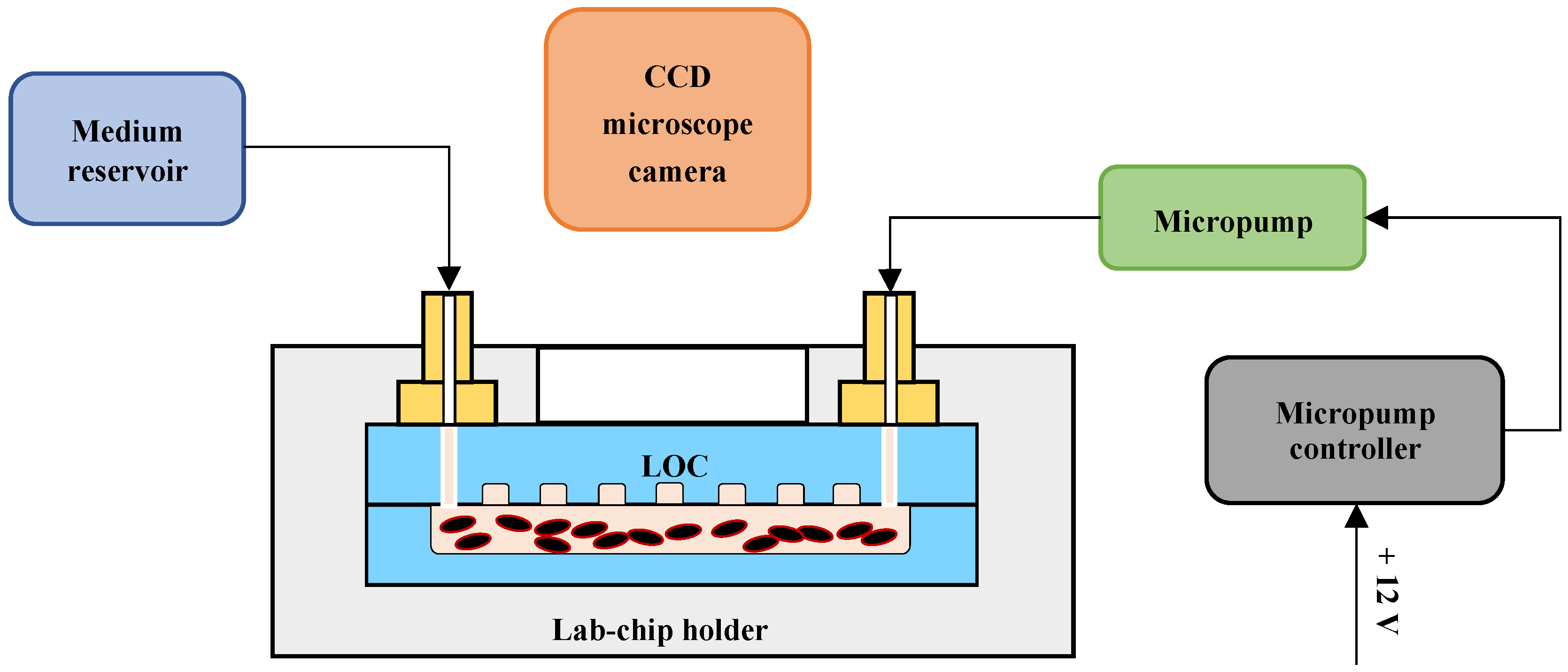Applsci 12 10627 g007