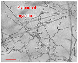 Applsci 12 10627 i015