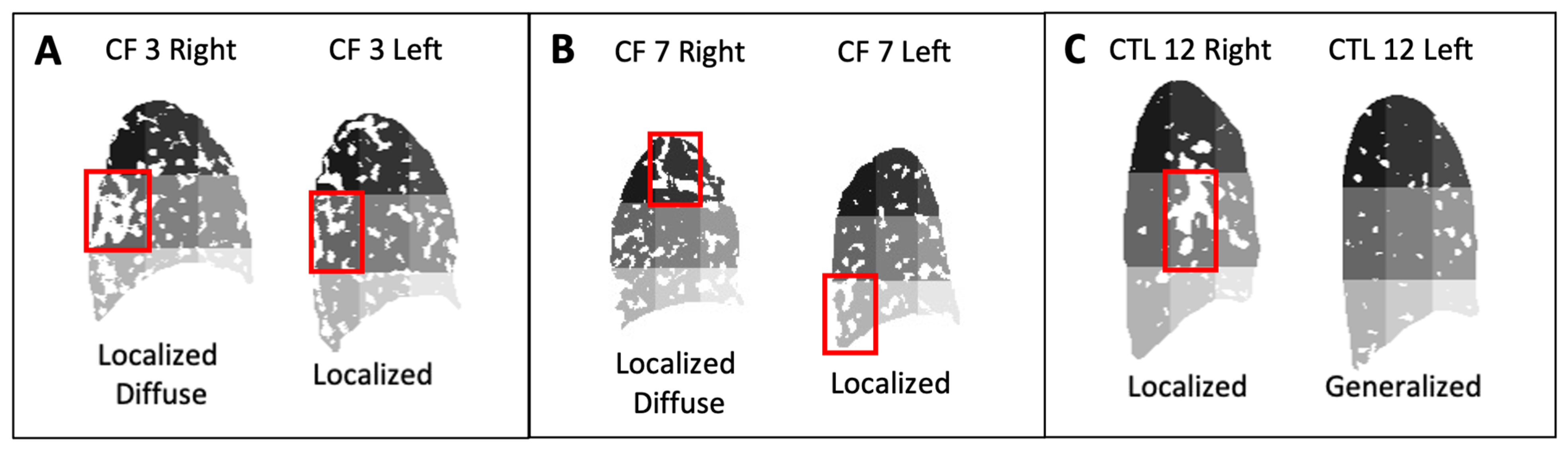 Applsci 12 10647 g012