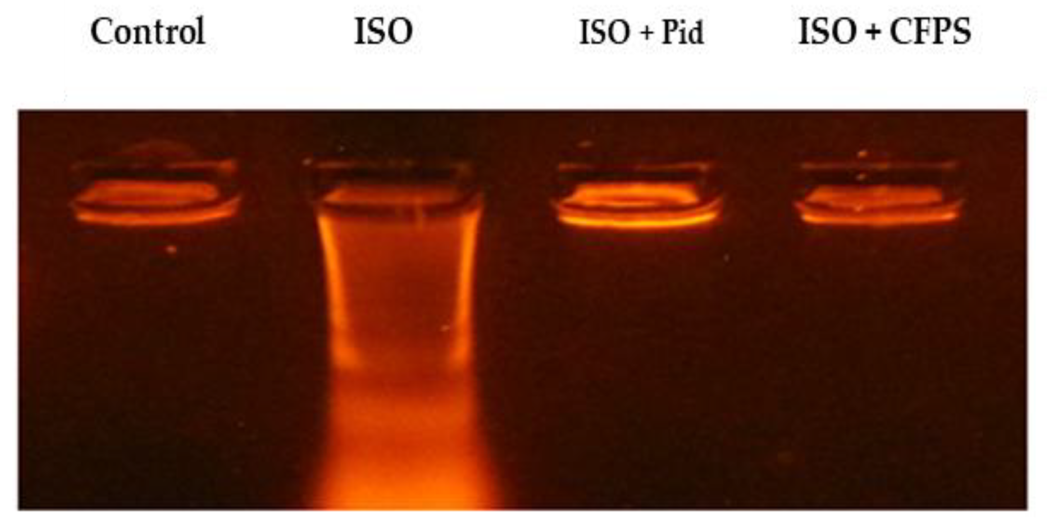 Applsci 12 10818 g006