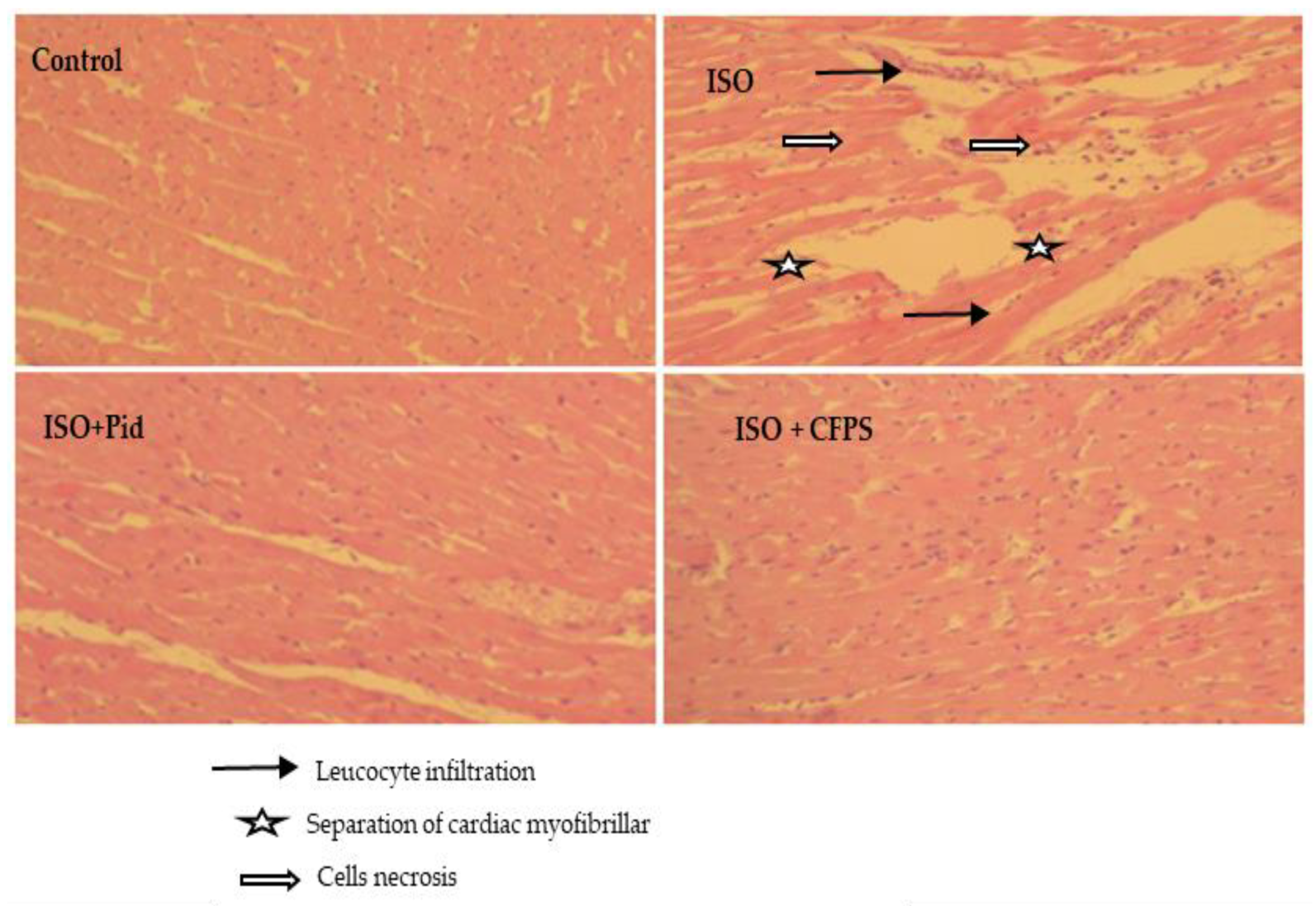 Applsci 12 10818 g008