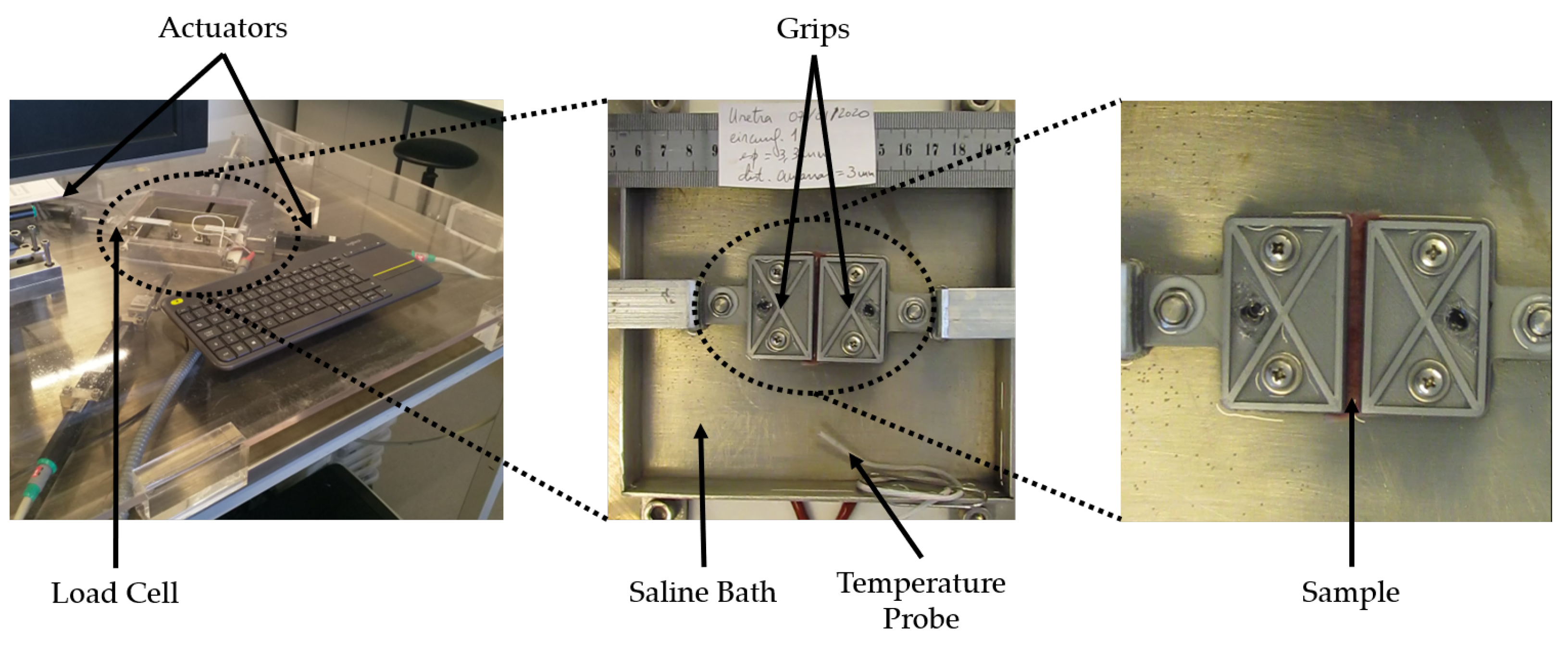 Applsci 12 10842 g002 Applsci 12 10842 g002