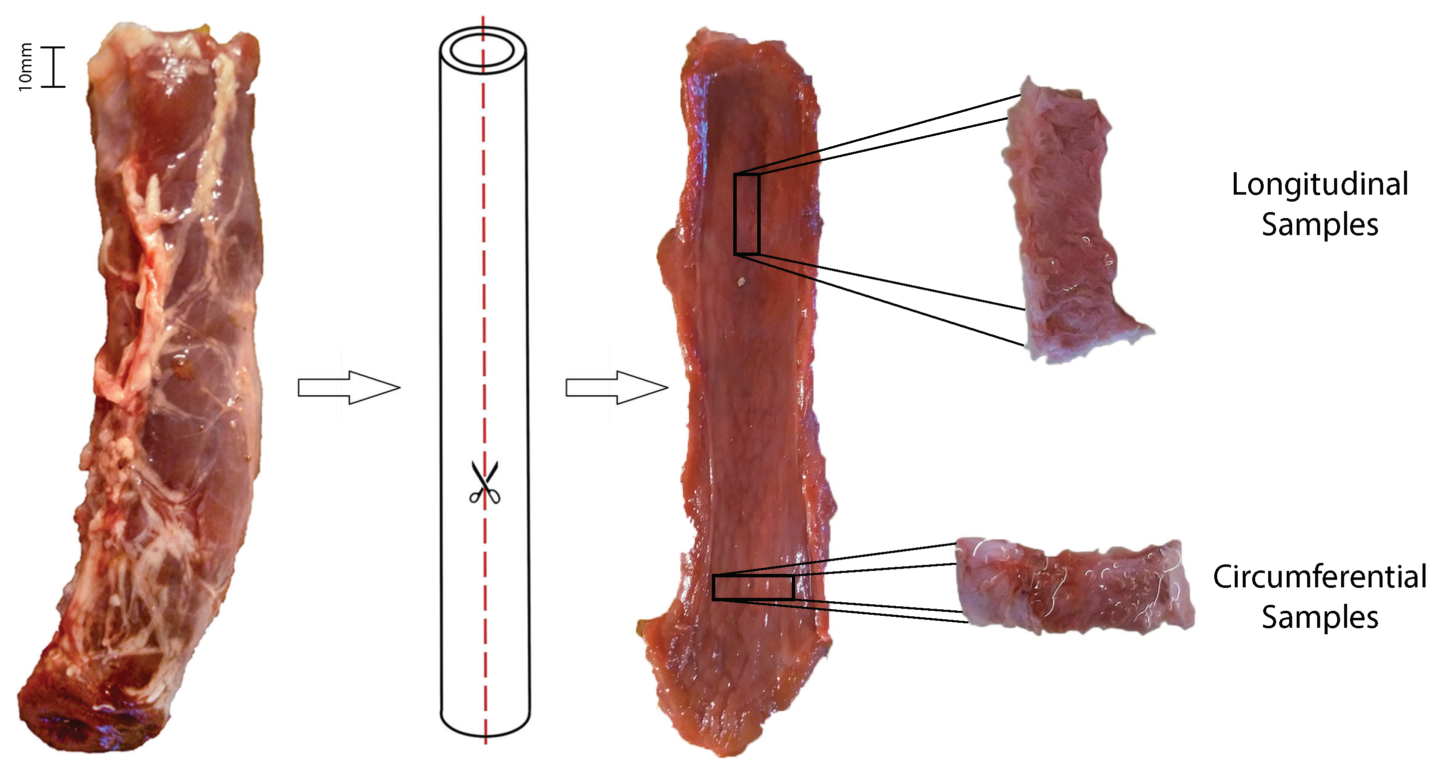 Applsci 12 10842 g003 Applsci 12 10842 g003