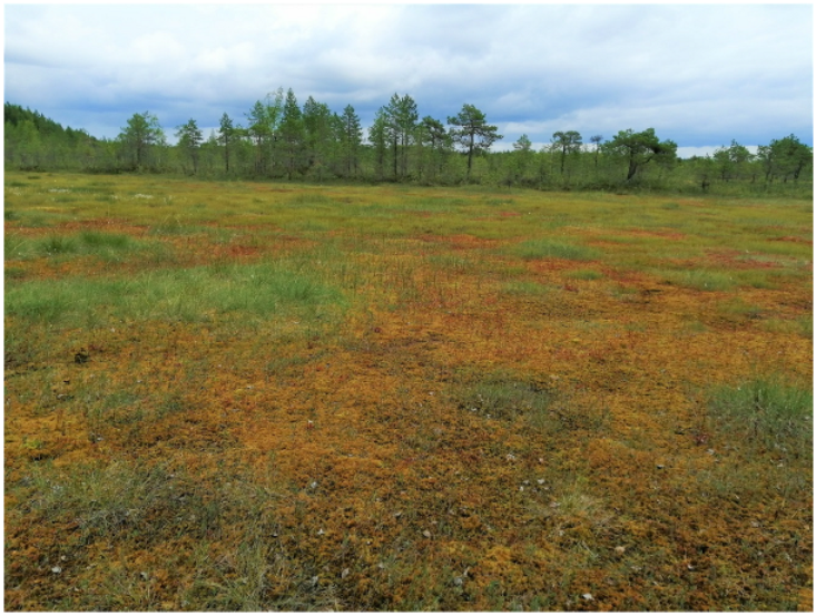 Applsci 12 10870 g0a1