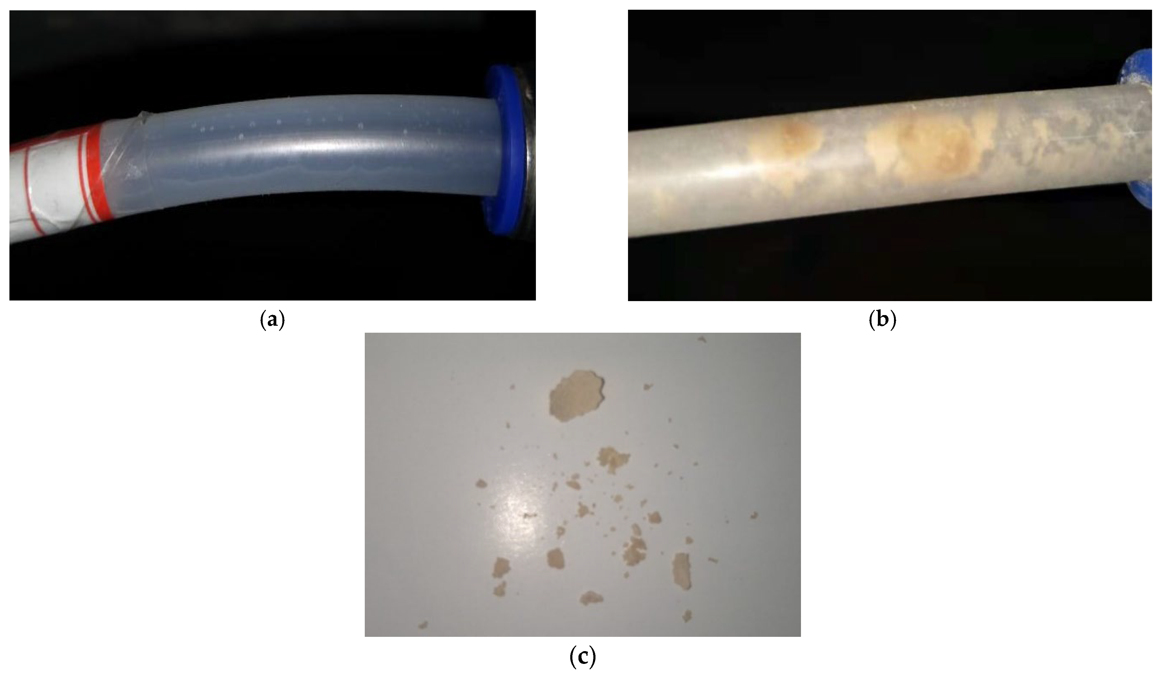 Applsci 12 10928 g006 Applsci 12 10928 g006