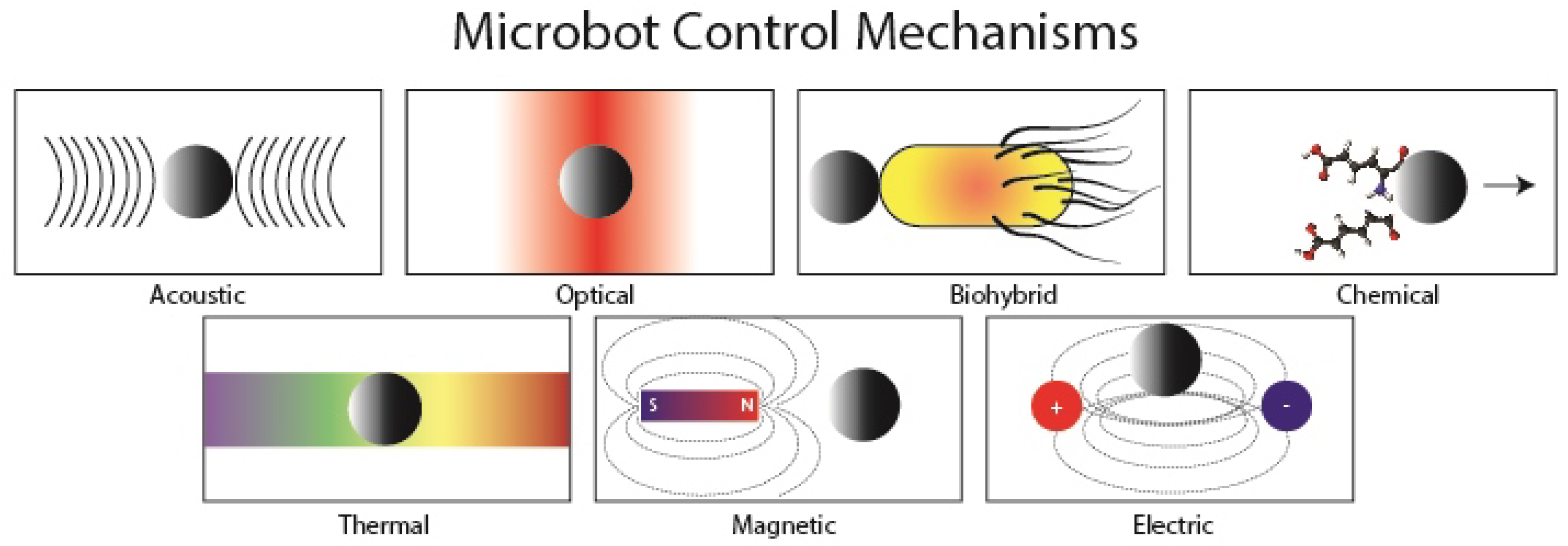 Applied Sciences | Free Full-Text | Light-Controlled Microbots in  Biomedical Application: A Review