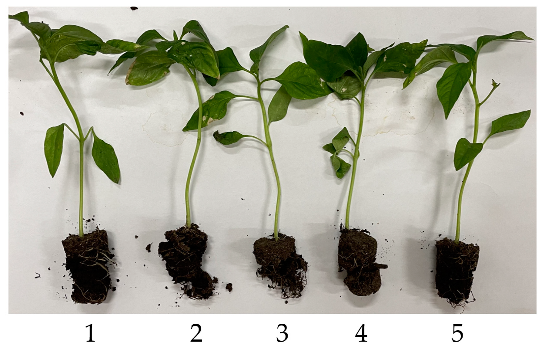 Applsci 12 11125 g012