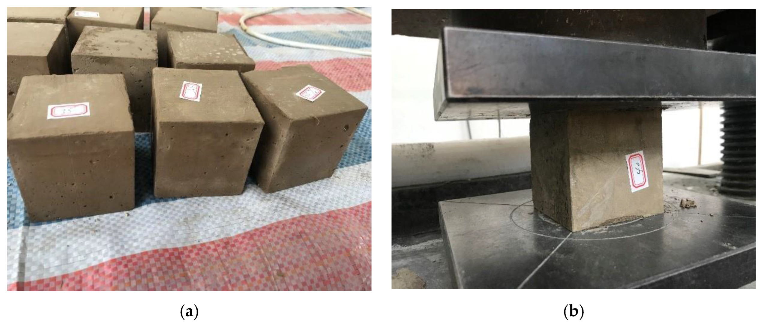 Applsci 12 11213 g003