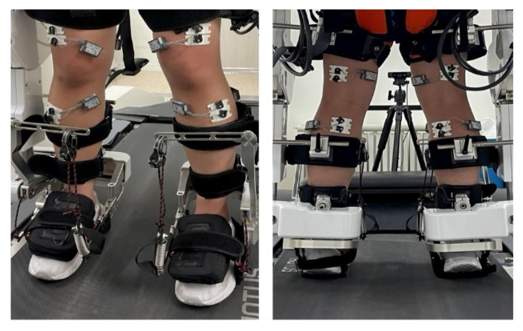 Applsci 12 11326 g002