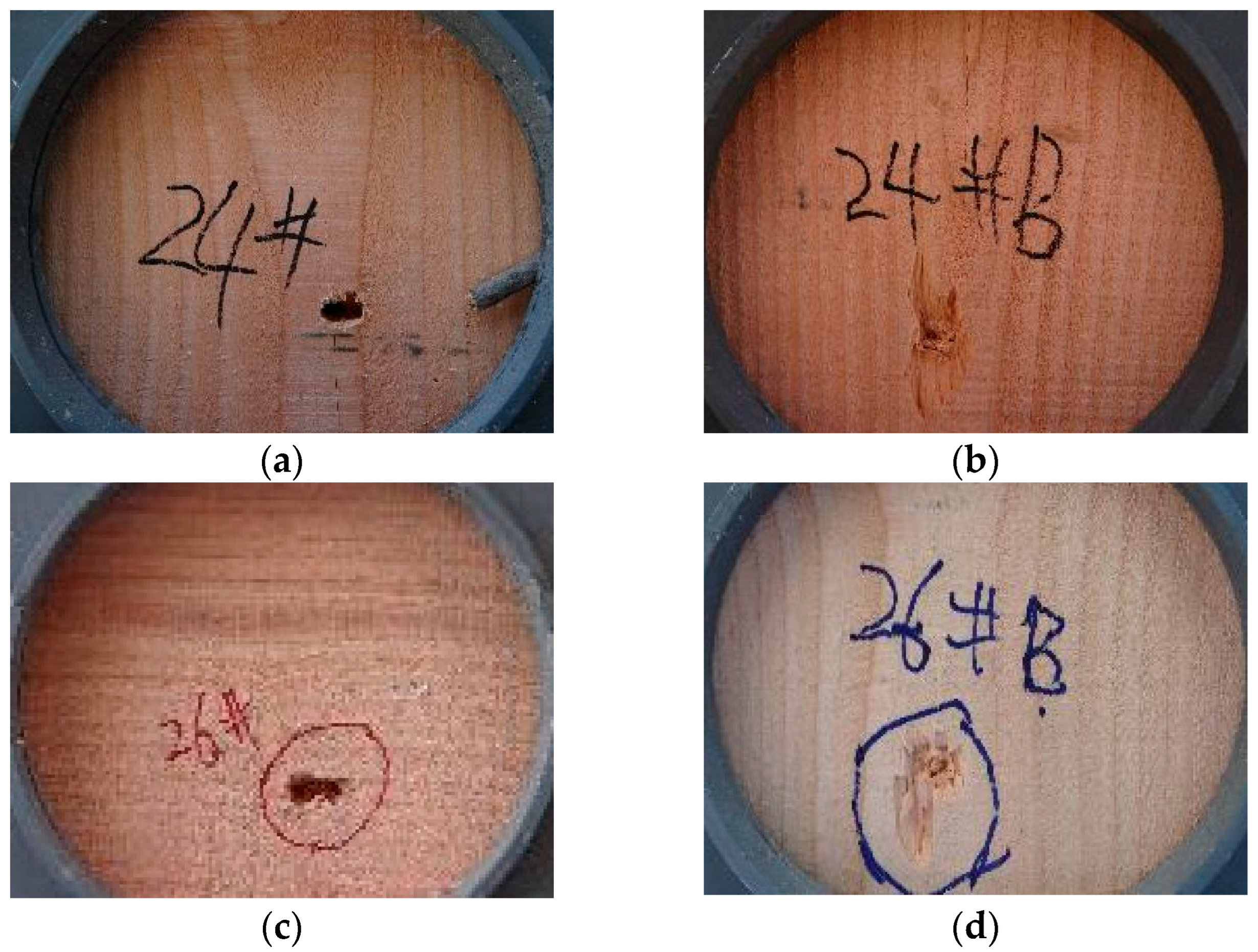 Applsci 12 11333 g003