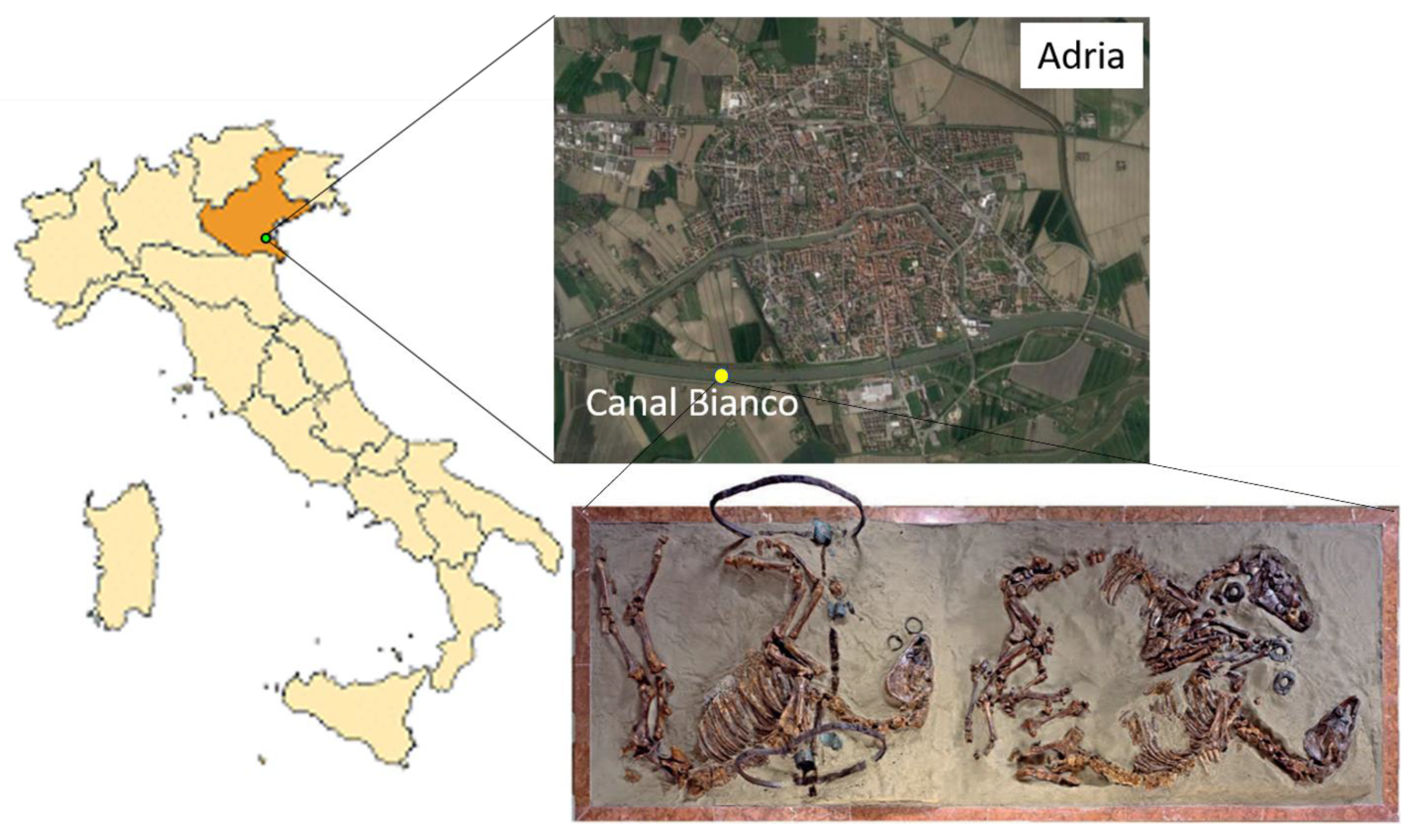 Applsci 12 11365 g001