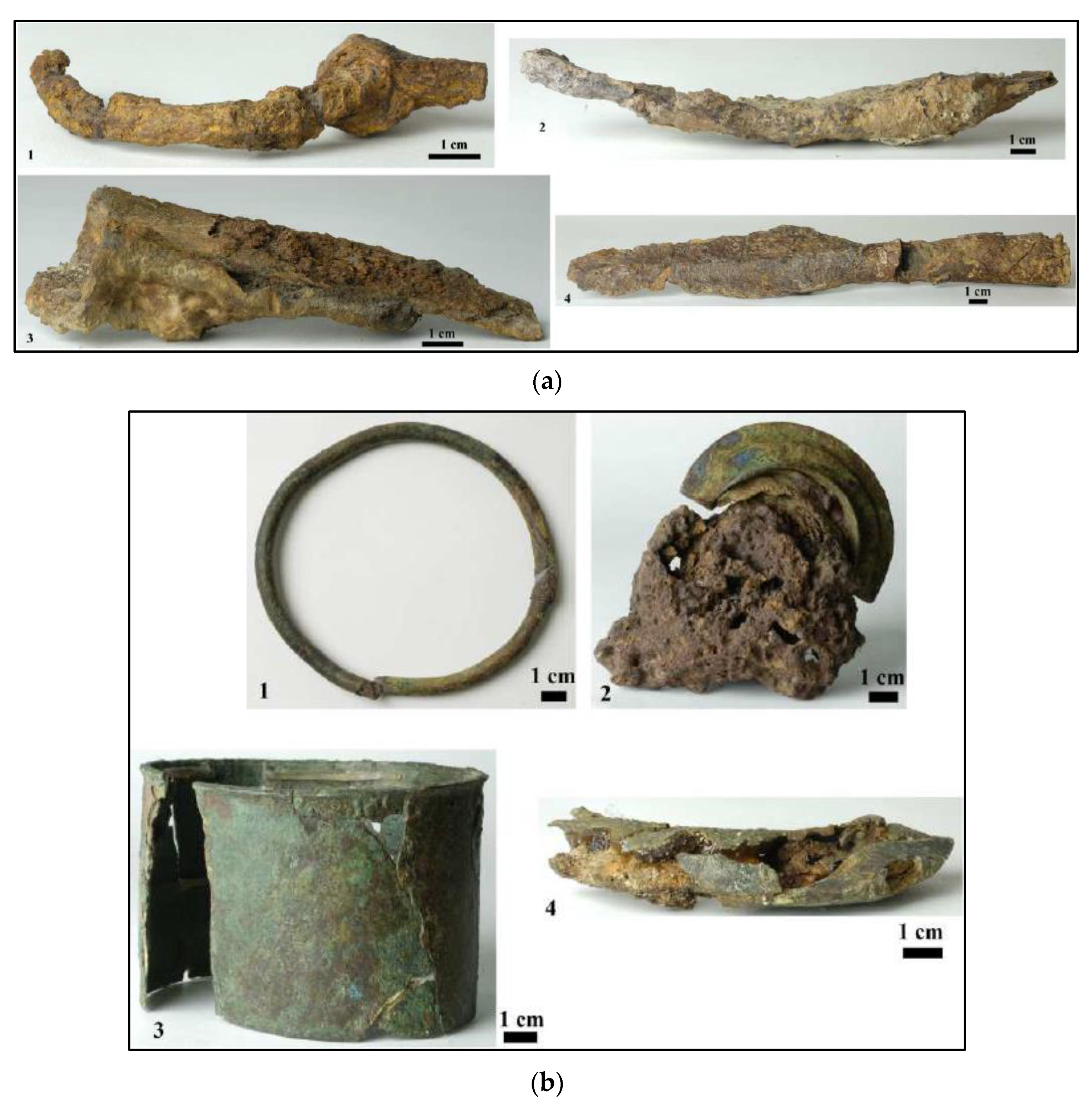 Applsci 12 11365 g002