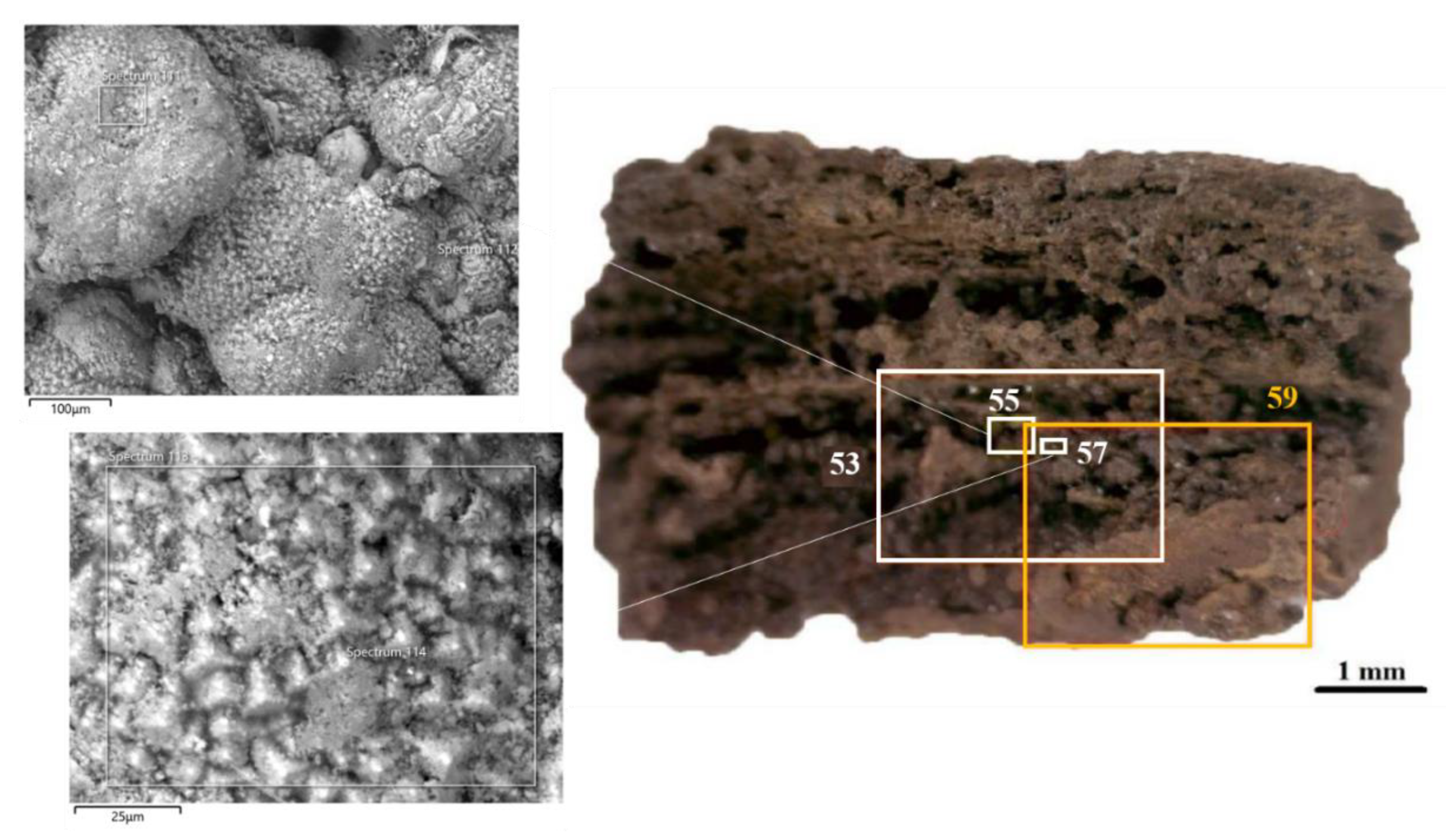 Applsci 12 11365 g006