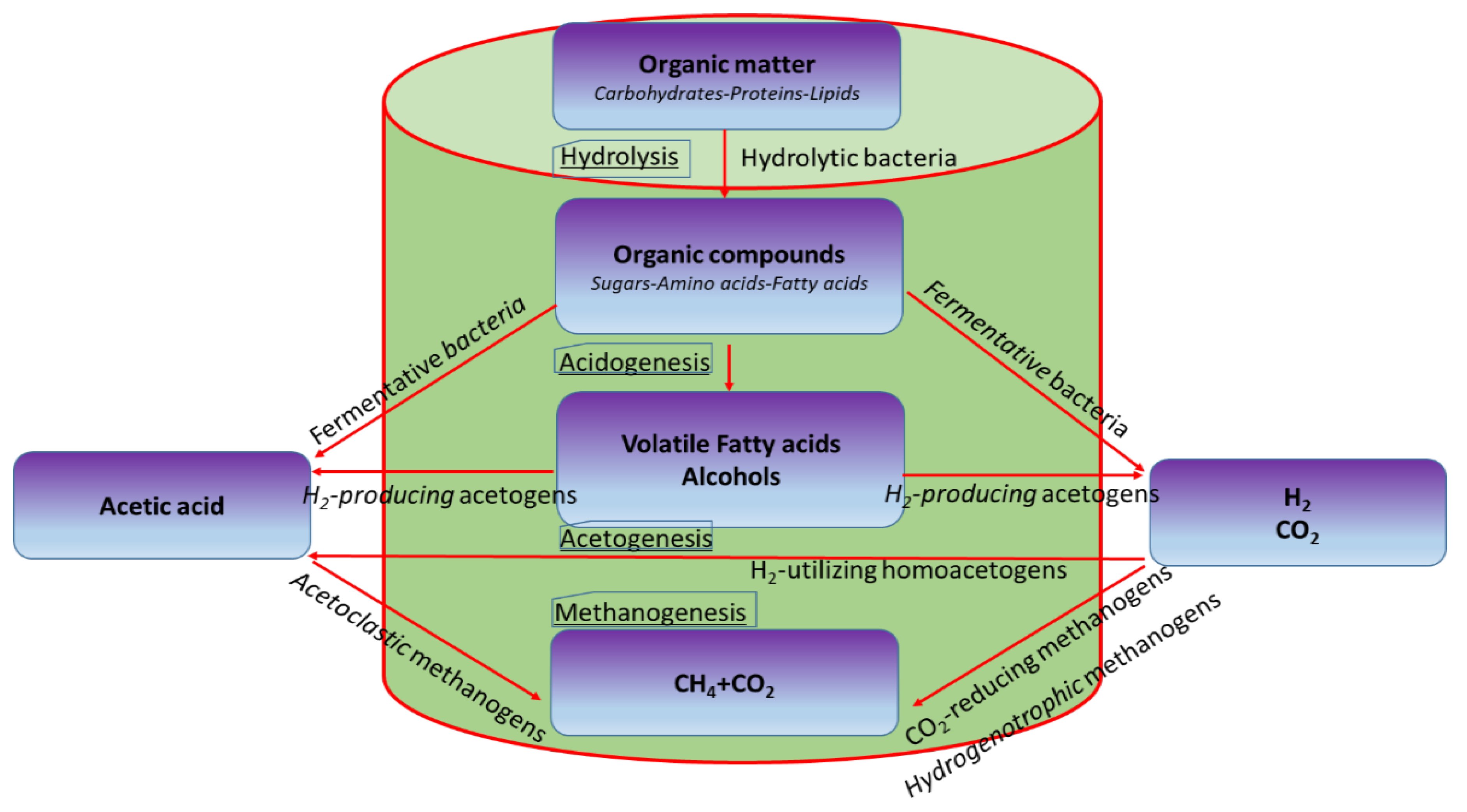 Applsci 12 11399 g003