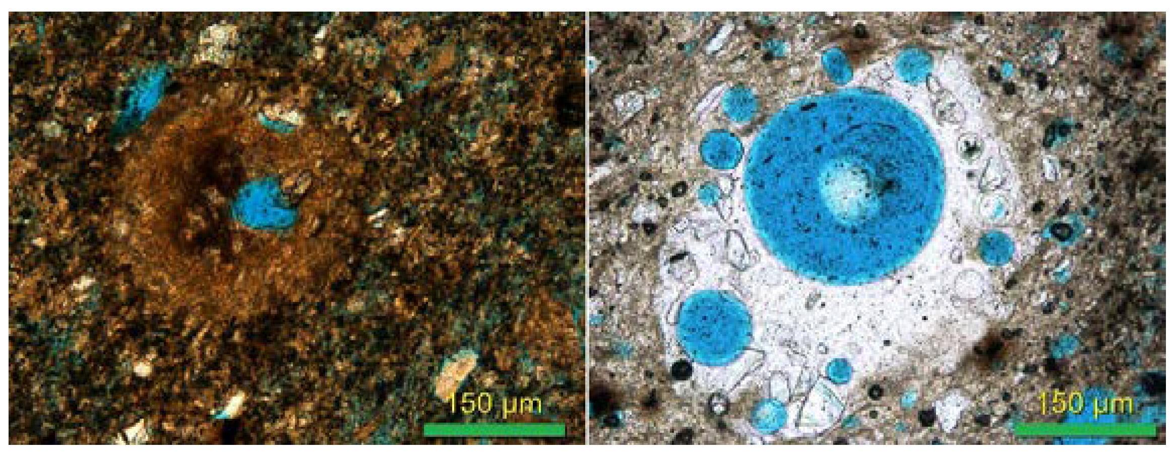 Applsci 12 11448 g012 Applsci 12 11448 g012