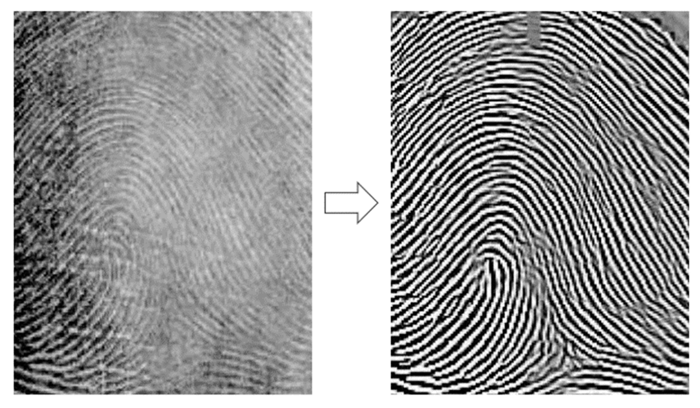 Applsci 12 11460 g008