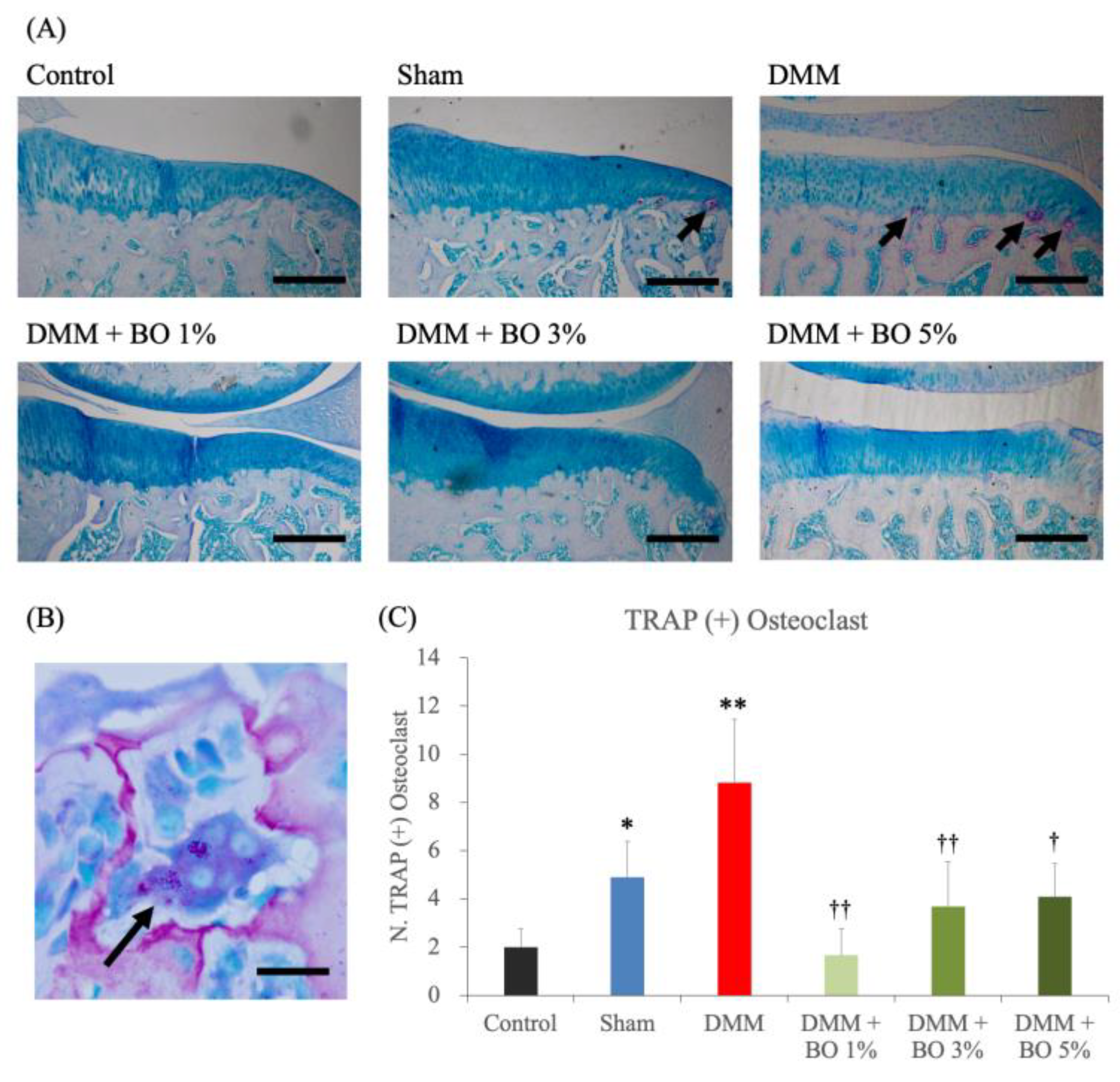 Applsci 12 11518 g004