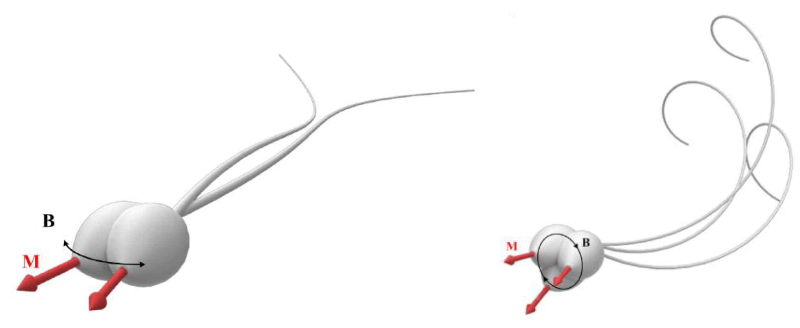 Applsci 12 11542 g004