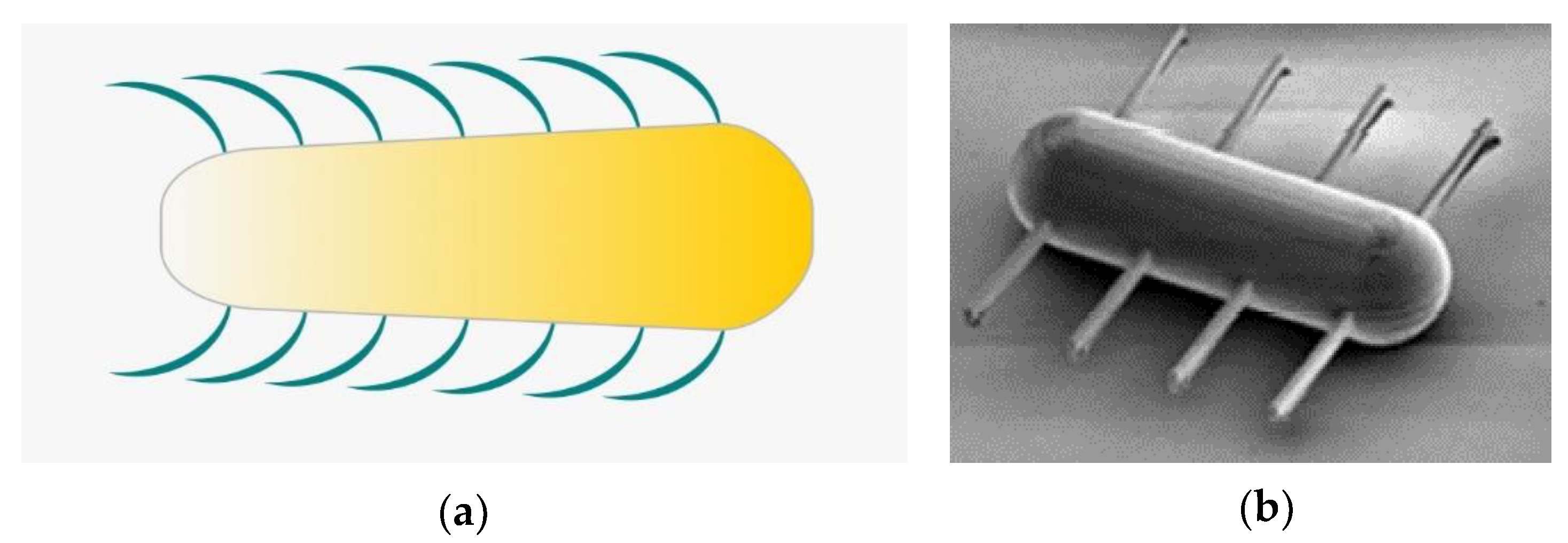 Applsci 12 11542 g006