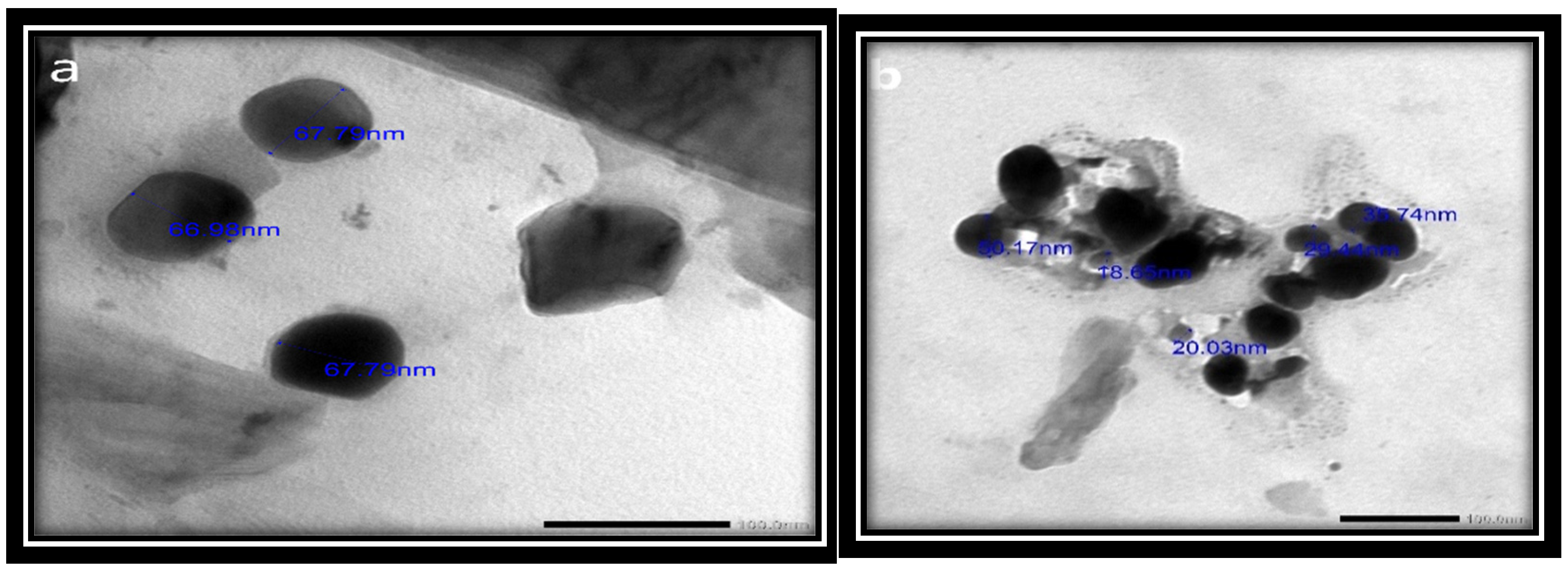 Applsci 12 11546 g005 Applsci 12 11546 g005