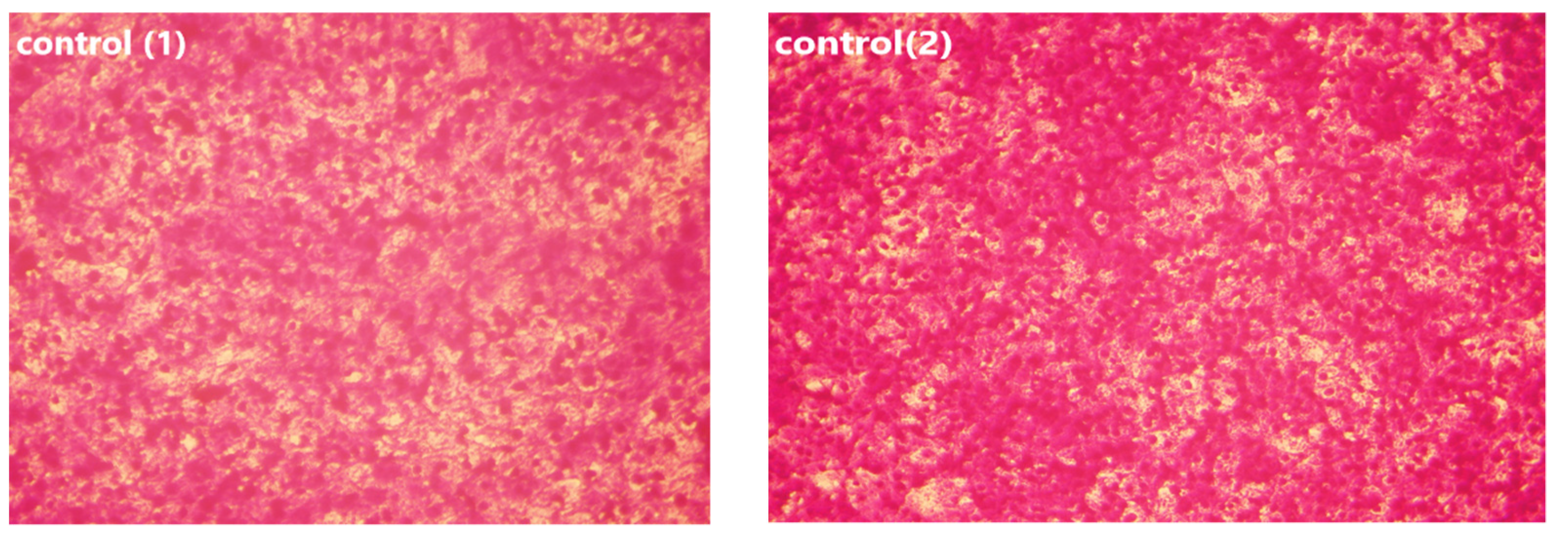 Applsci 12 11546 g011a Applsci 12 11546 g011a