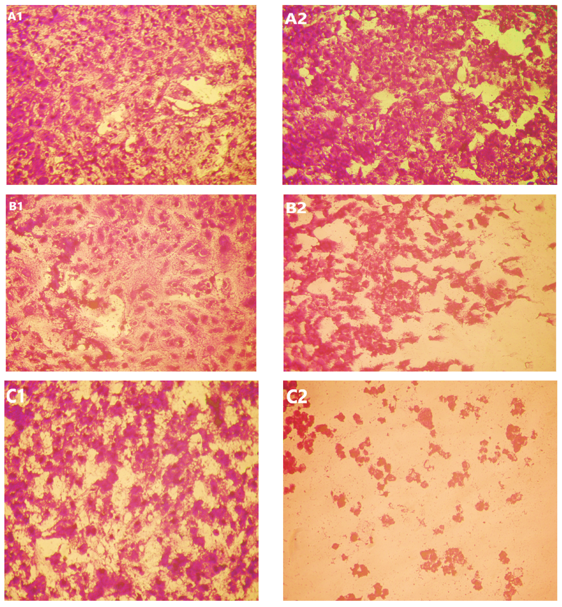 Applsci 12 11546 g011b Applsci 12 11546 g011b