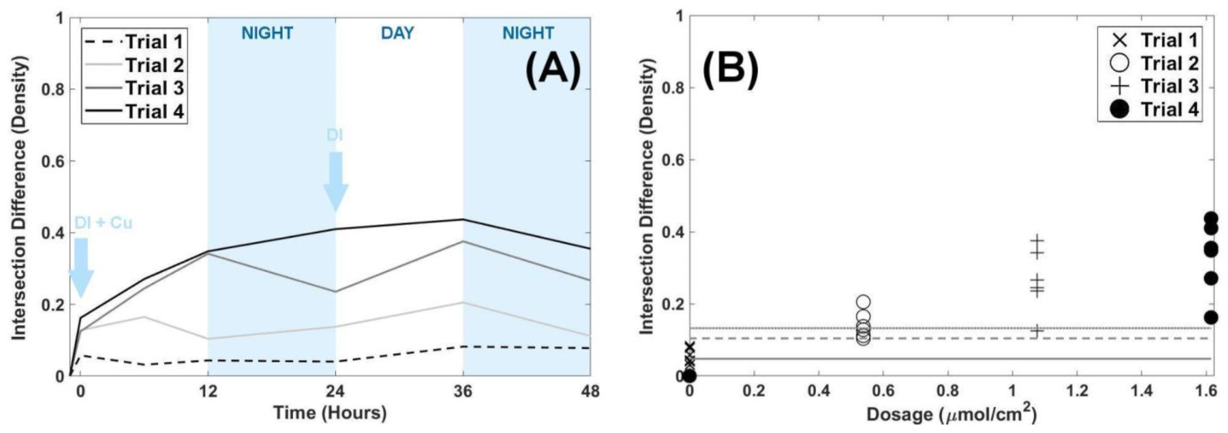 Applsci 12 11580 g005