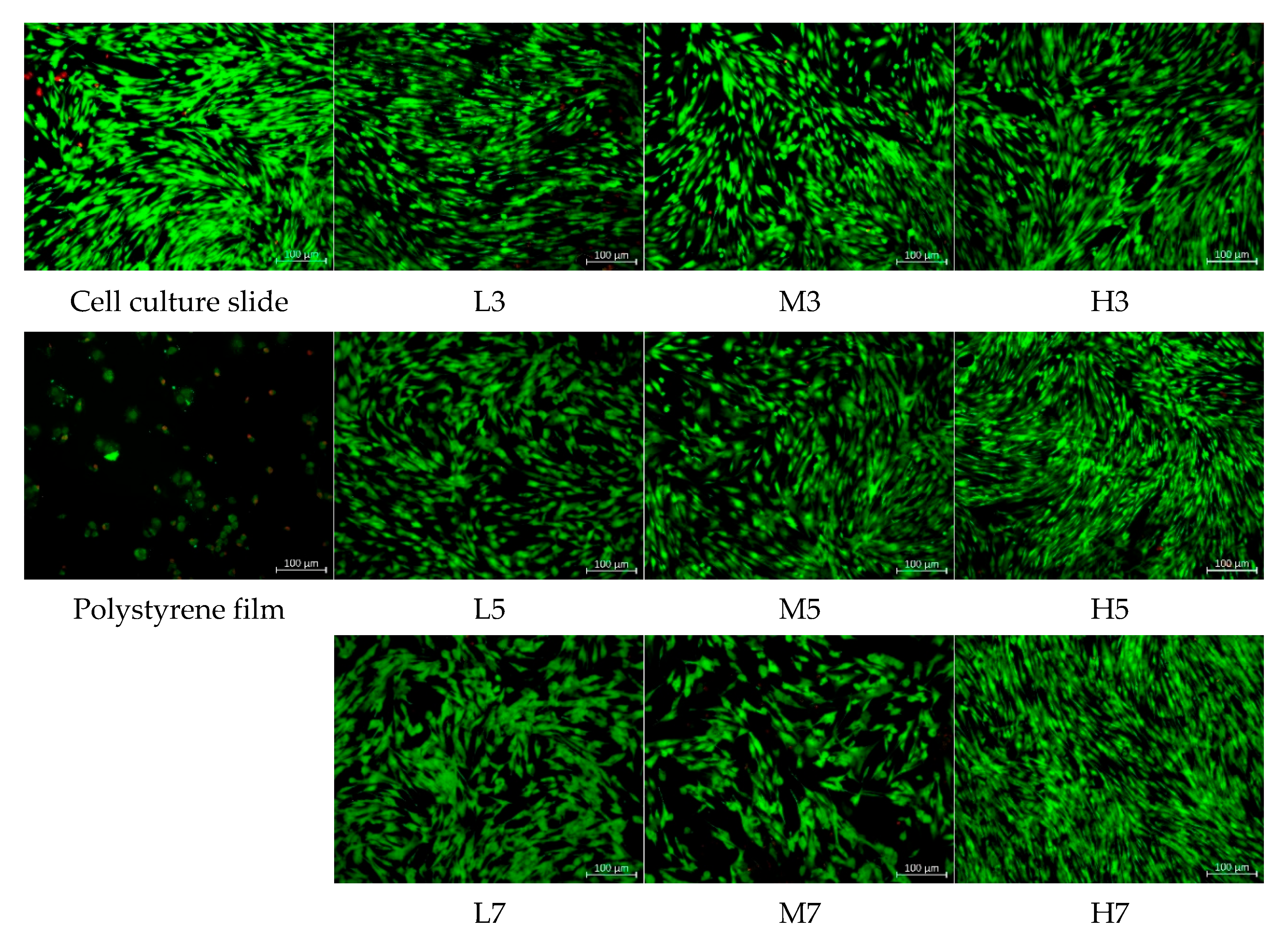 Applsci 12 11599 g009
