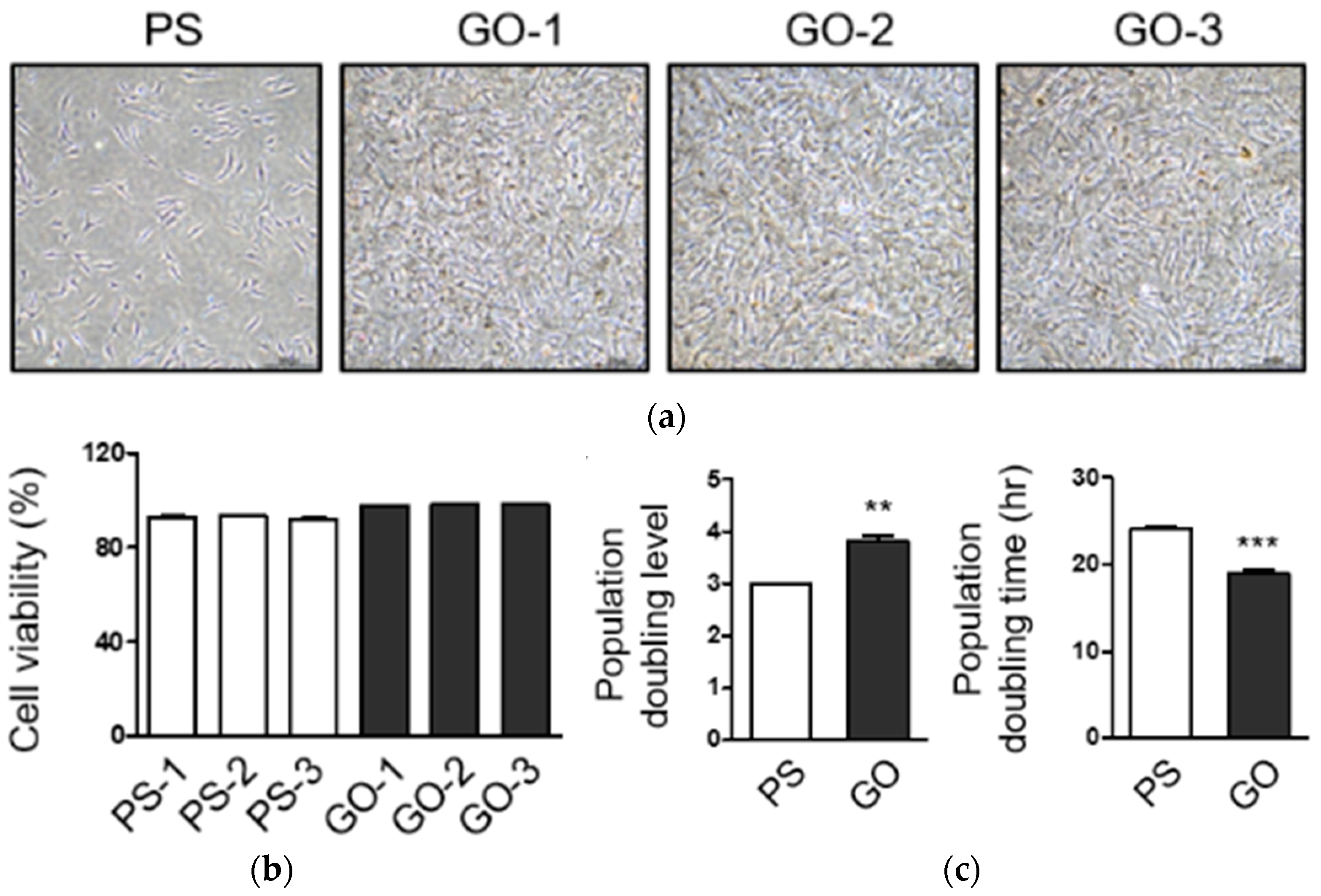 Applsci 12 11599 g010