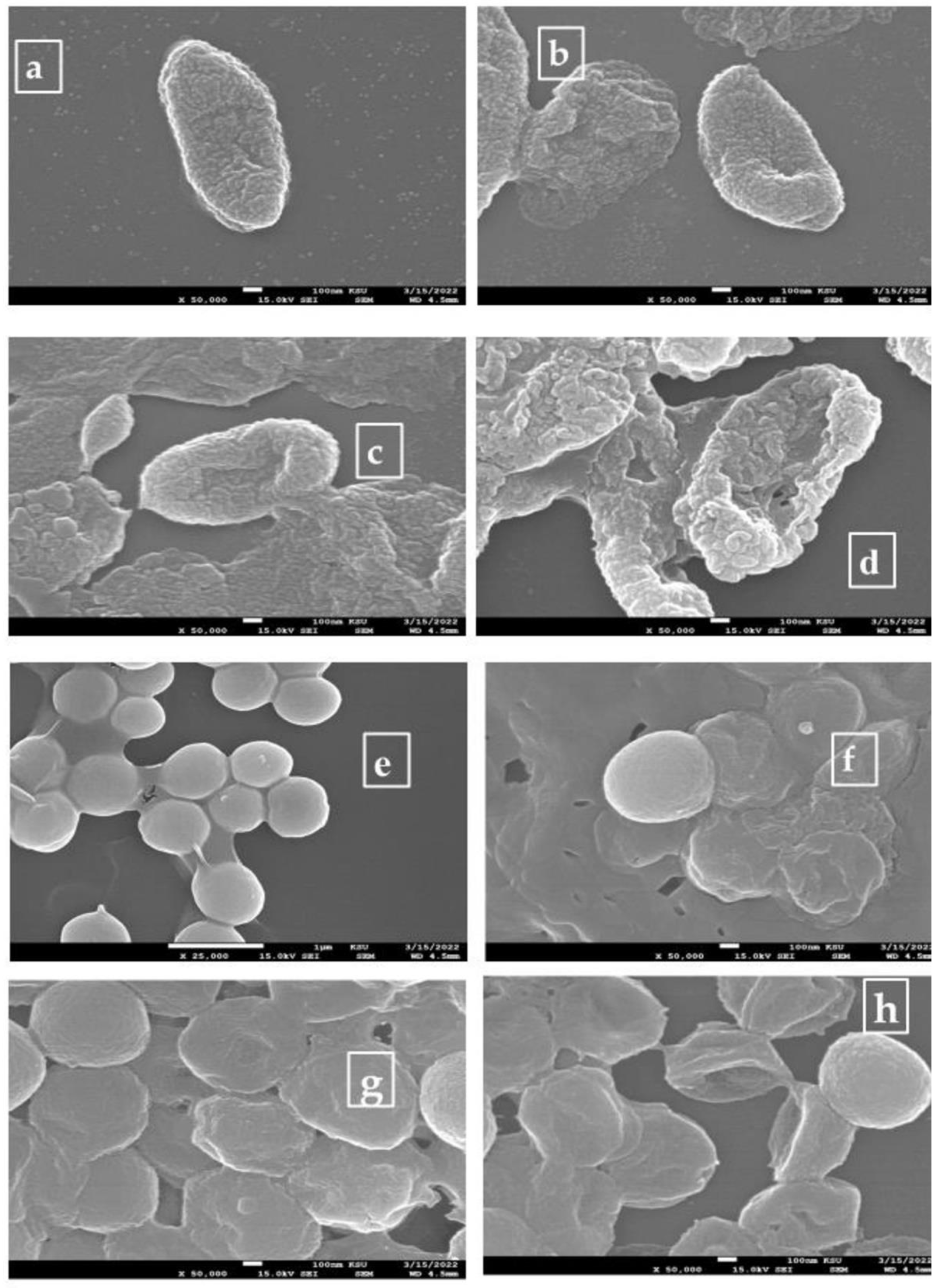 Applsci 12 11613 g004 Applsci 12 11613 g004