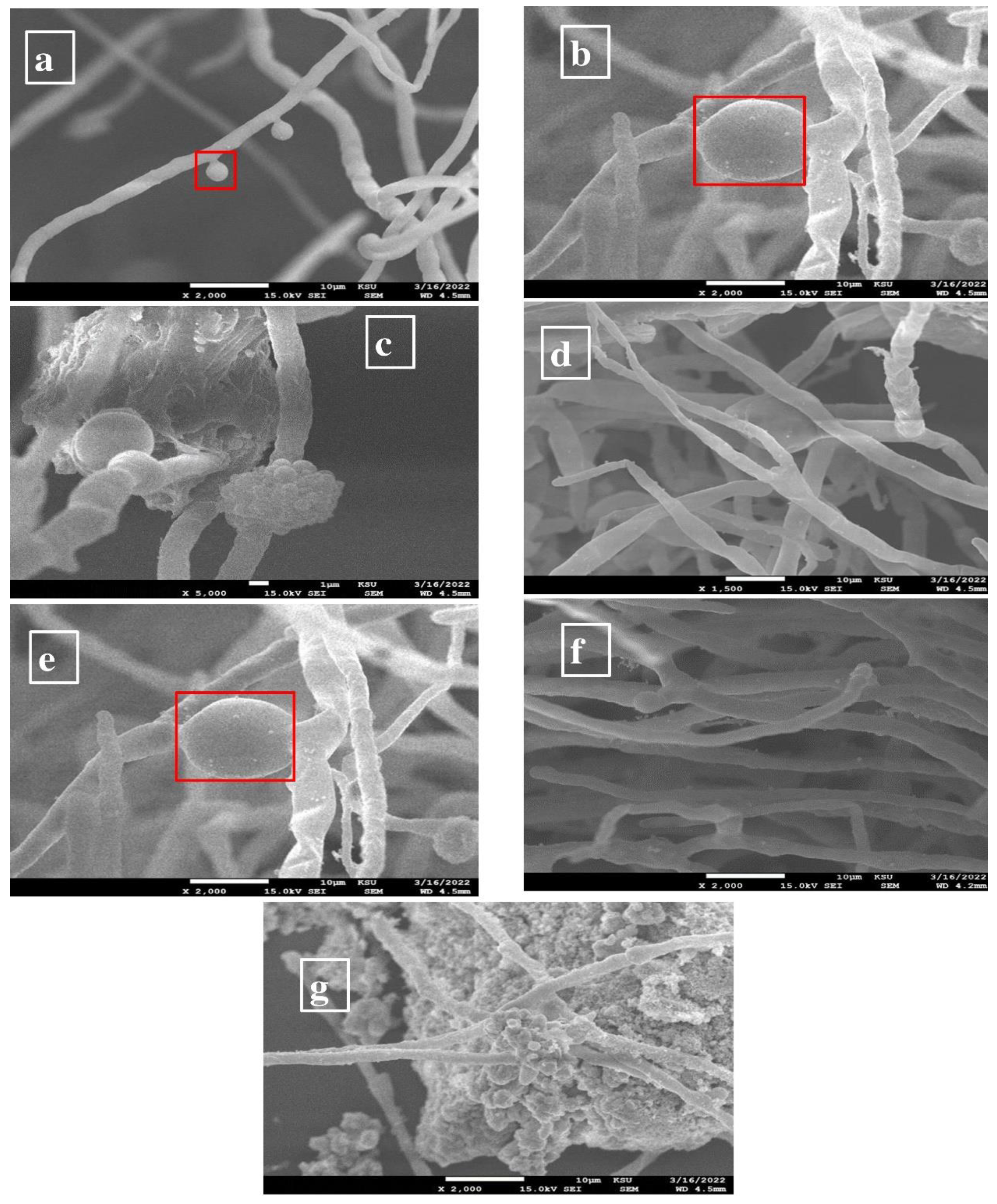 Applsci 12 11613 g005 Applsci 12 11613 g005