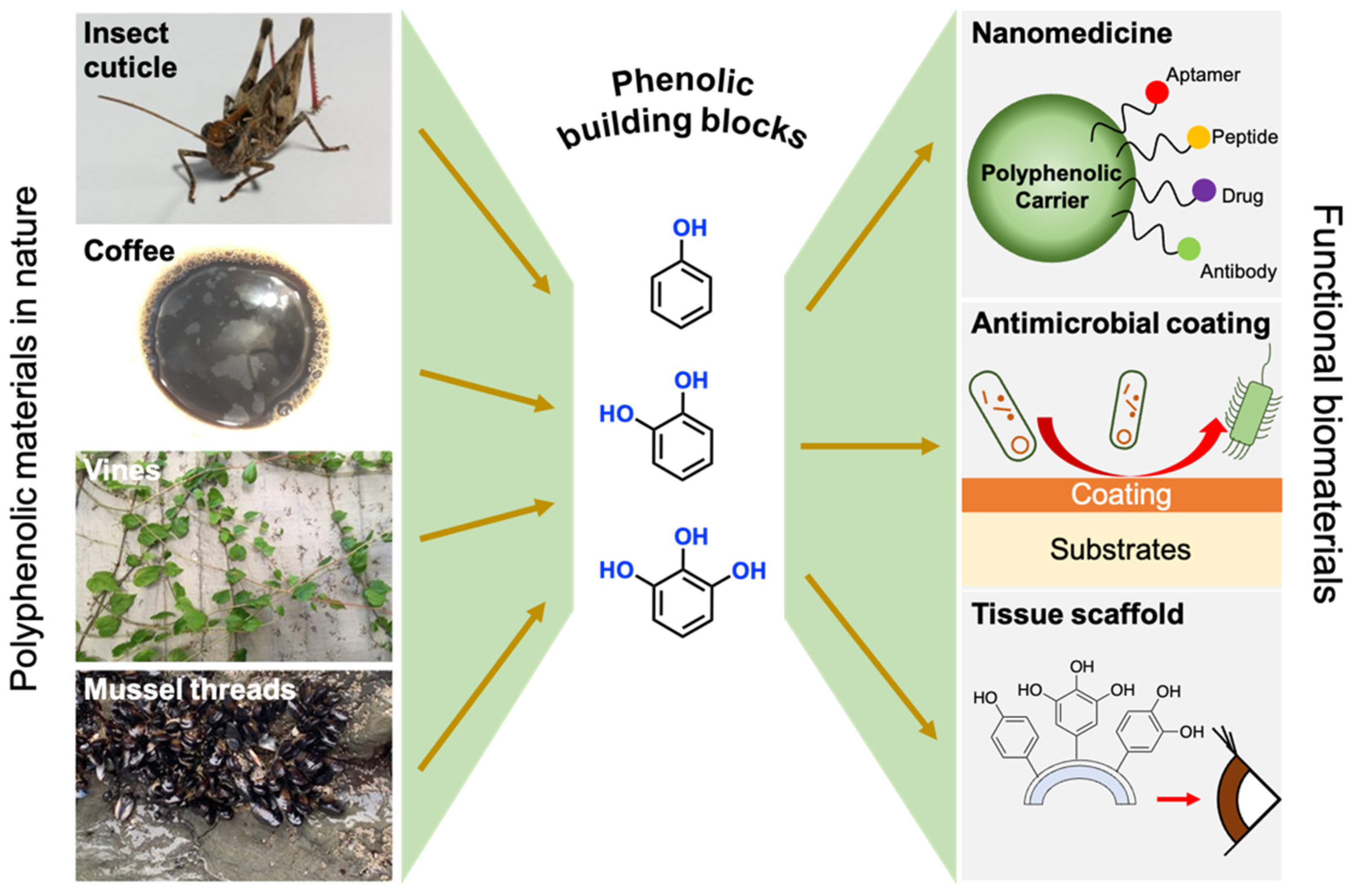 Applsci 12 11626 g001 Applsci 12 11626 g001
