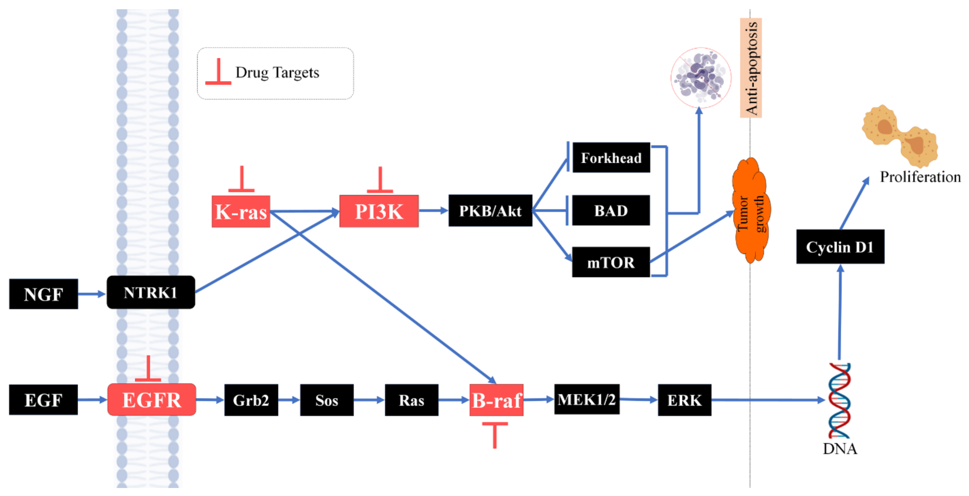 Applsci 12 11749 g001
