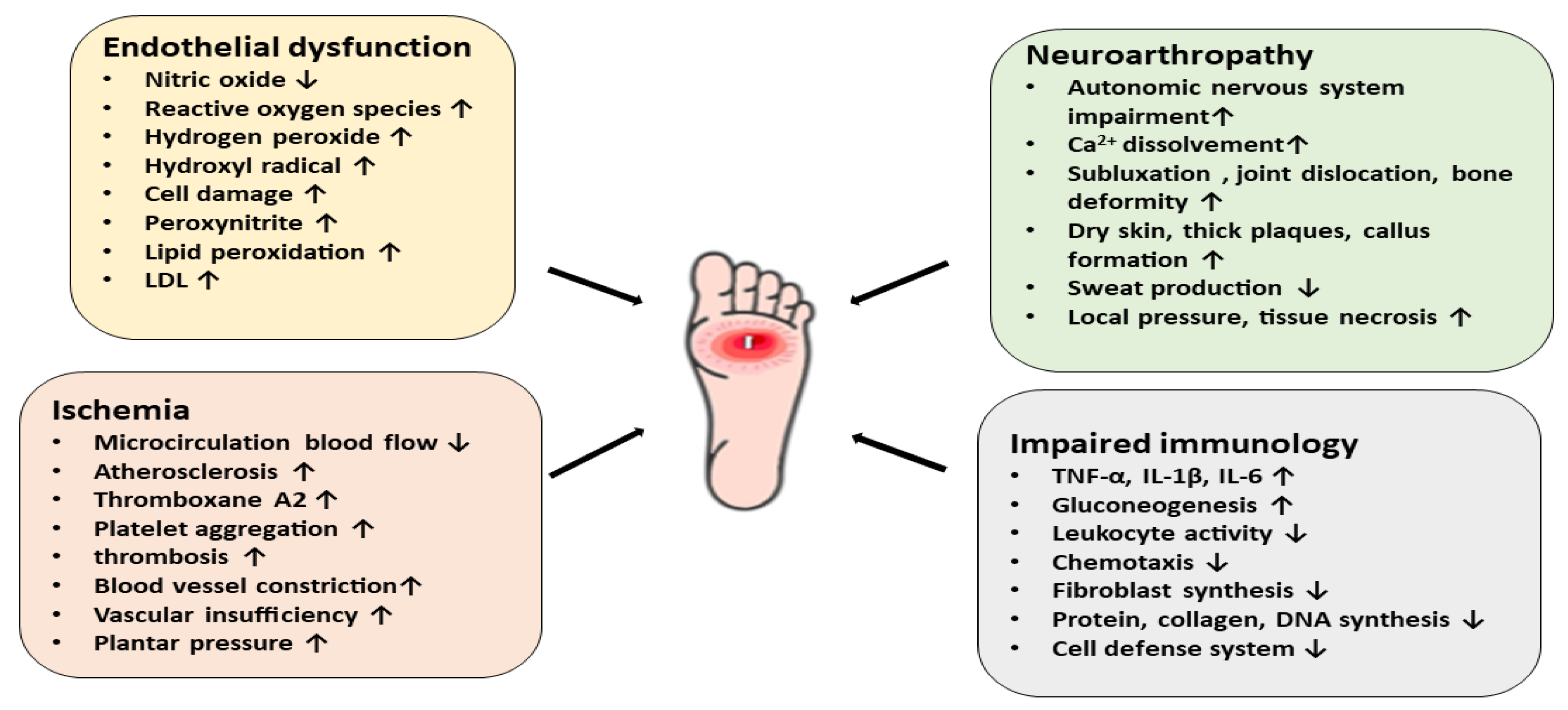 Chronic hyperglycemia and foot ulcers