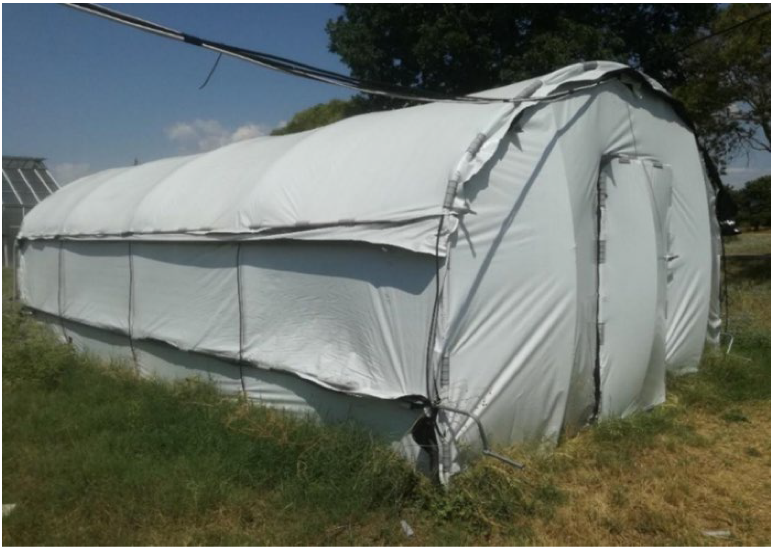 Applsci 12 11784 g001