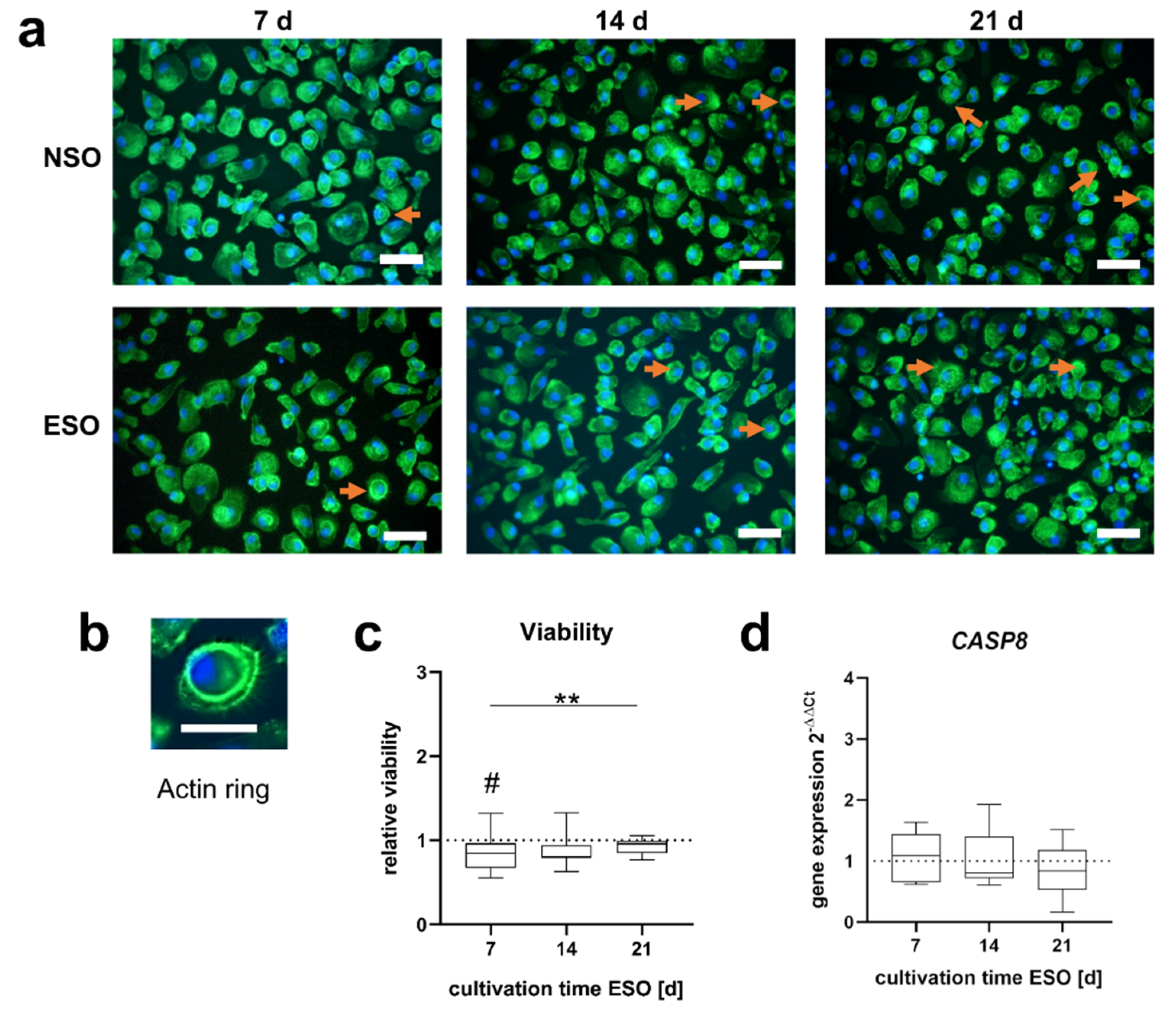 Applsci 12 11840 g003 Applsci 12 11840 g003
