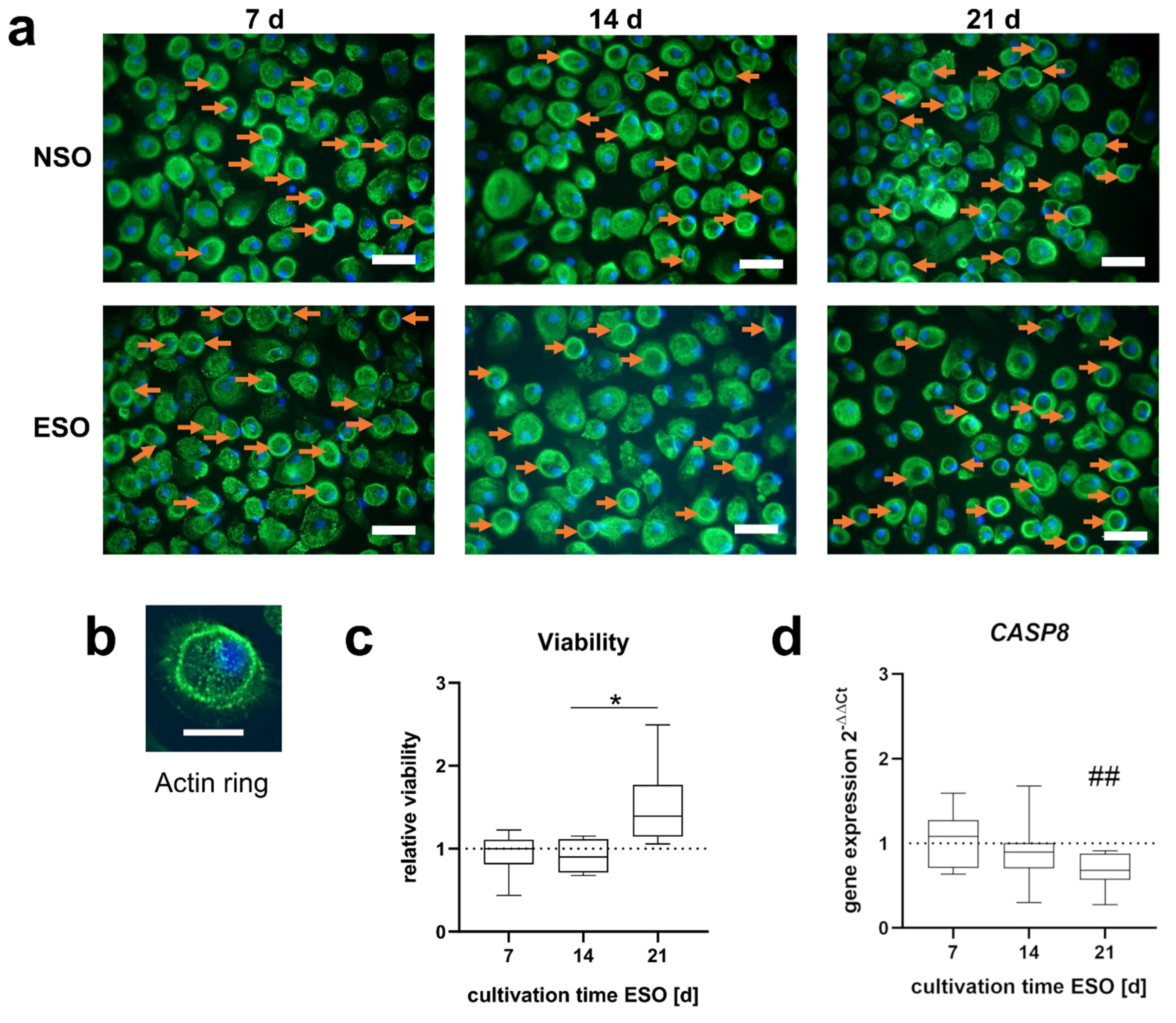 Applsci 12 11840 g005 Applsci 12 11840 g005