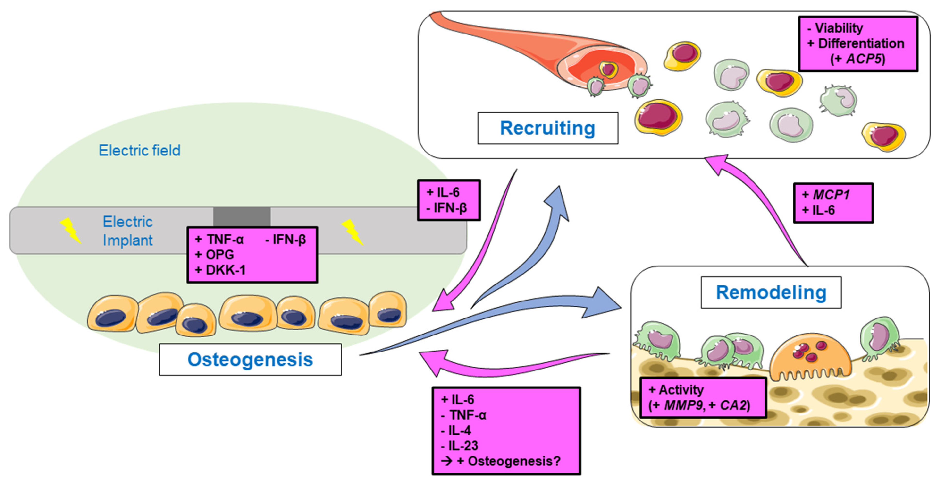 Applsci 12 11840 g007 Applsci 12 11840 g007