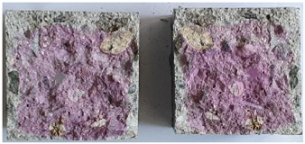 Applsci 12 11874 i001