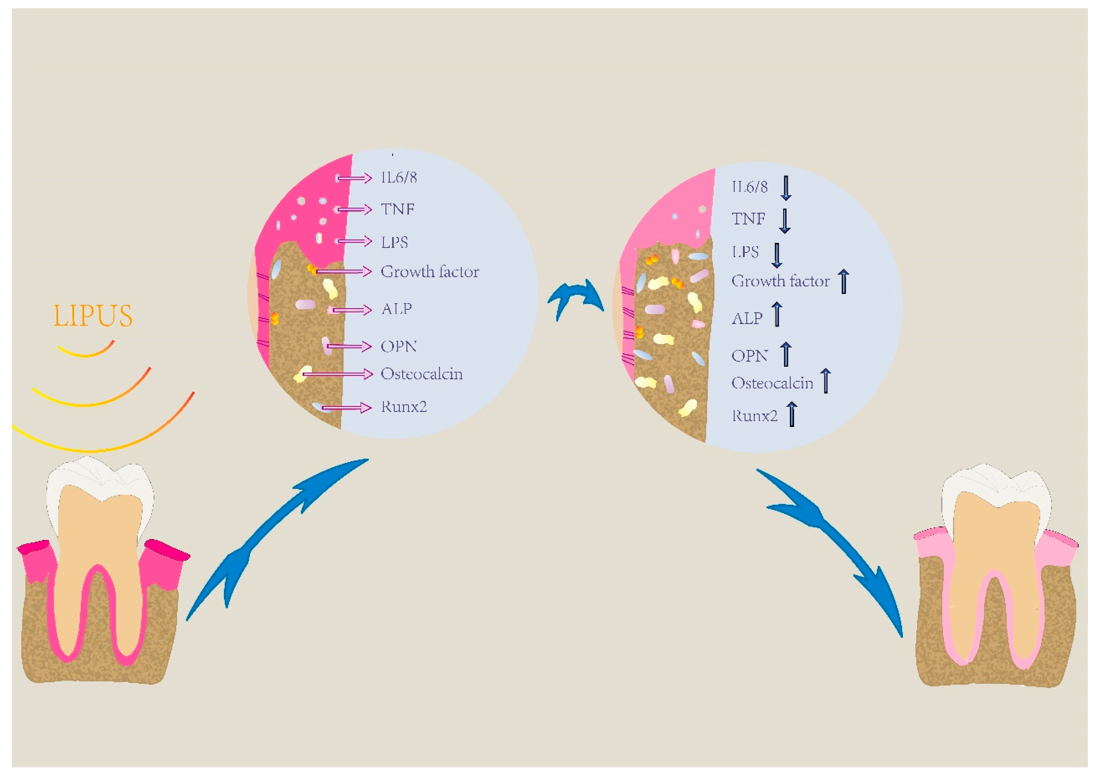 Applsci 12 11898 g003 Applsci 12 11898 g003