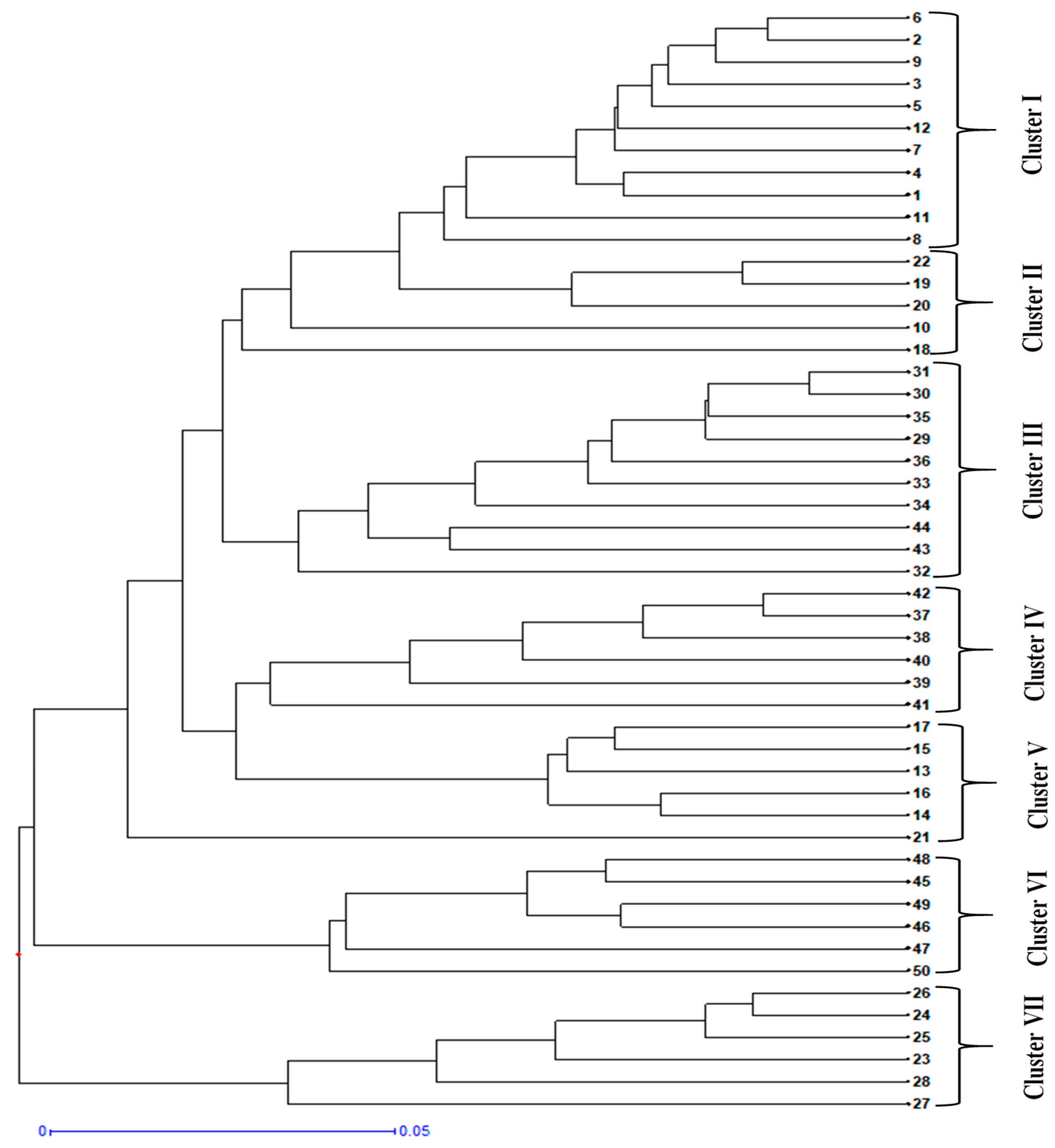 Applsci 12 12061 g006 Applsci 12 12061 g006