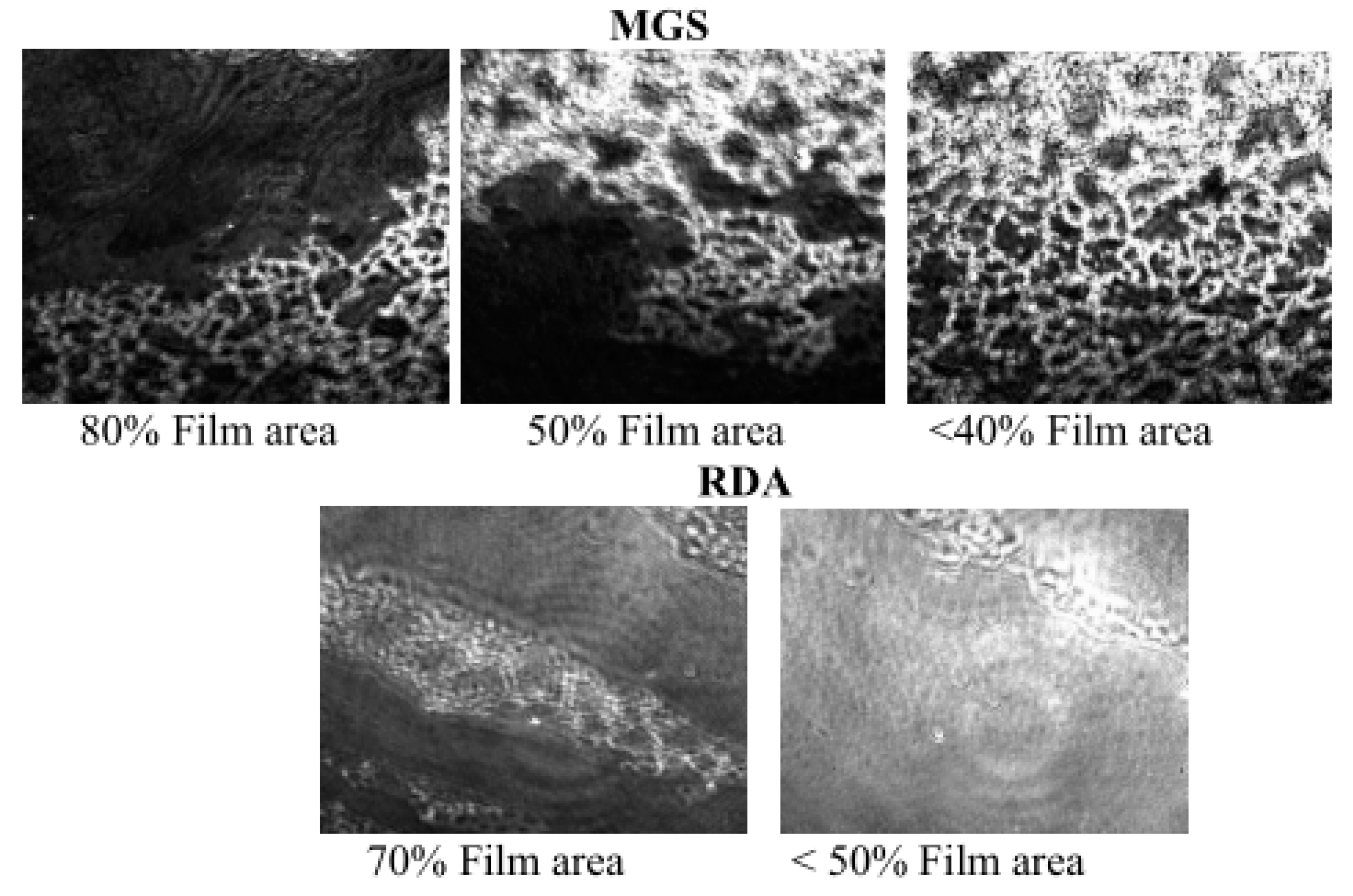 Applsci 12 12095 g002
