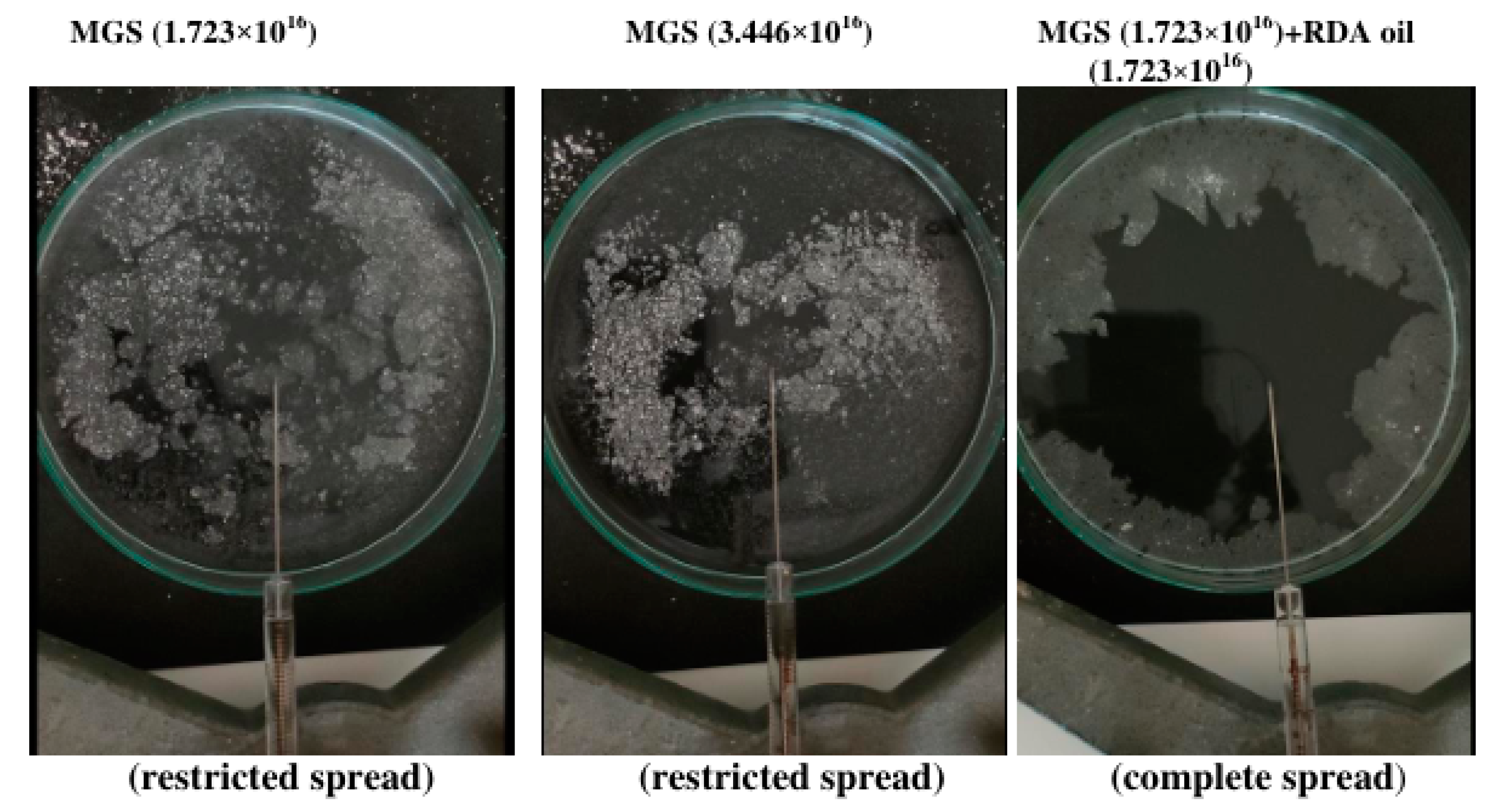 Applsci 12 12095 g007