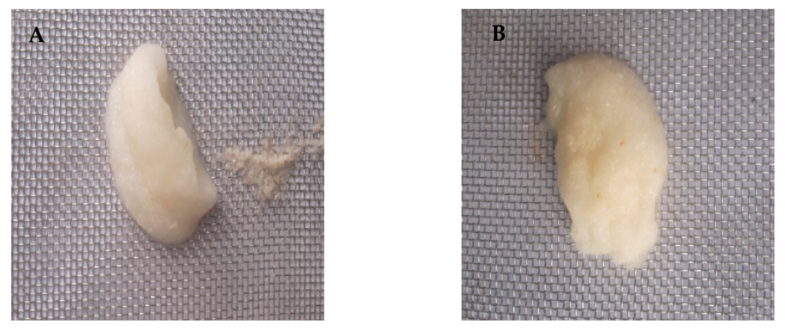 Applsci 12 12101 g003