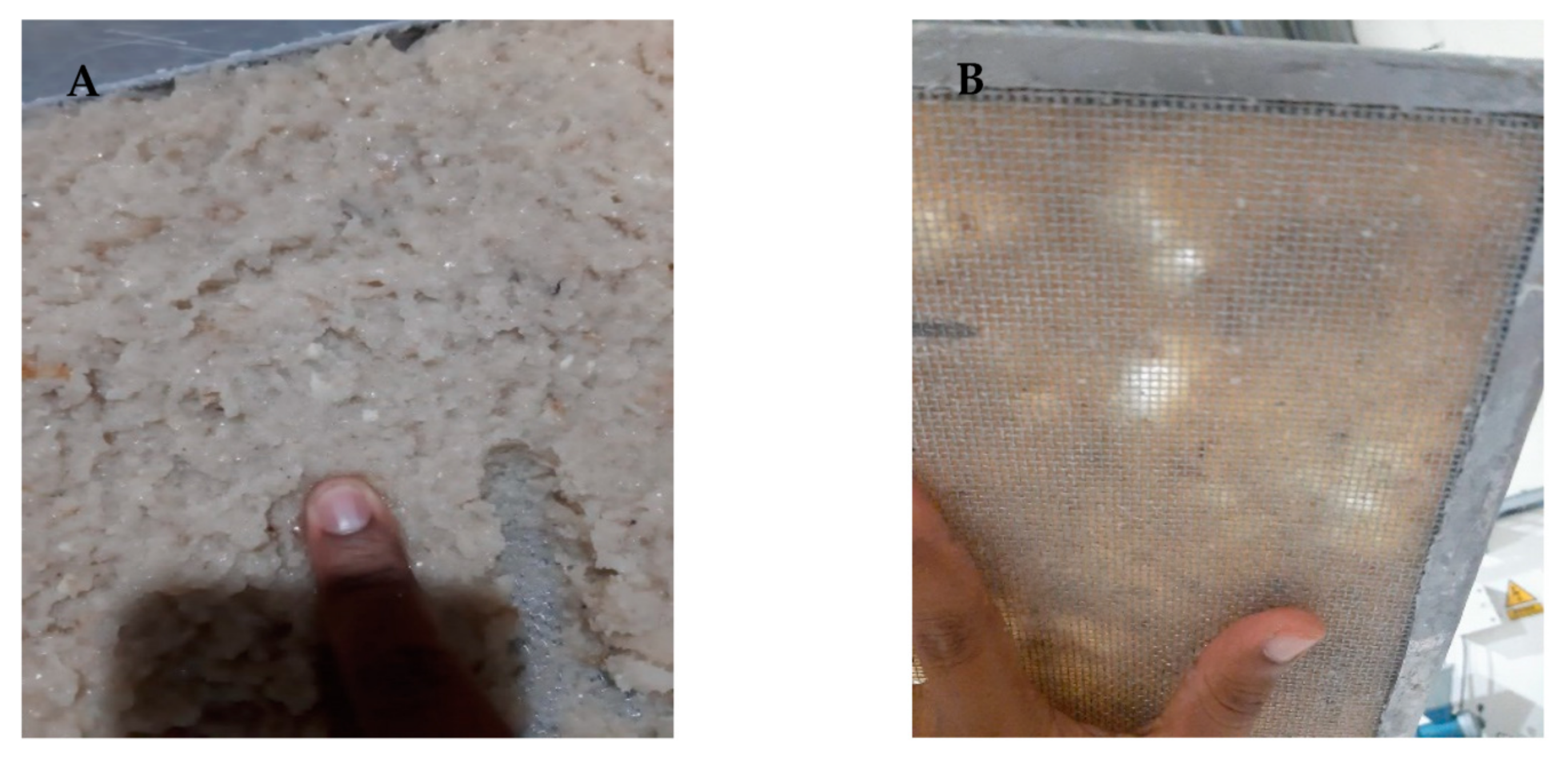 Applsci 12 12101 g008