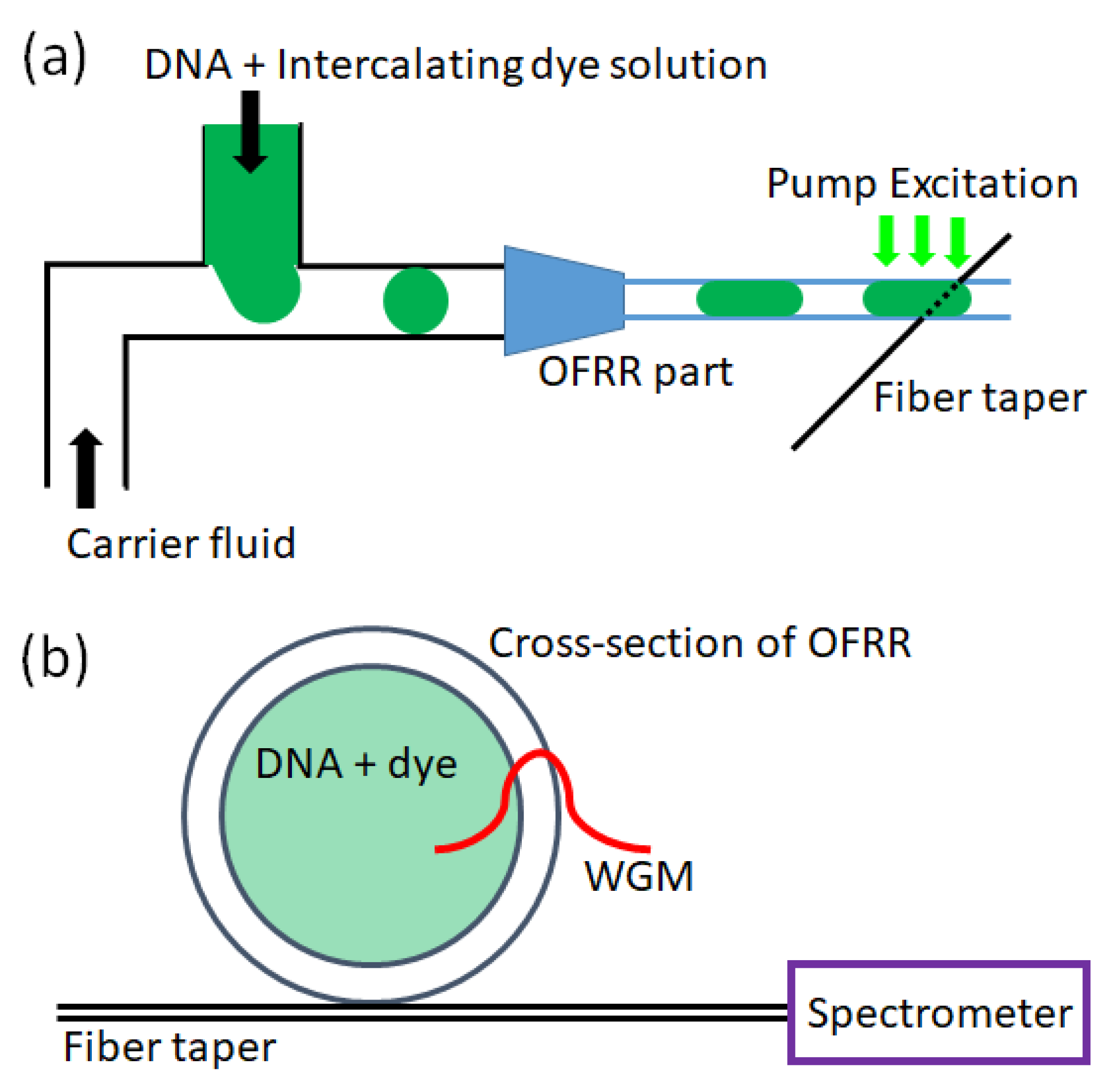 Applied Sciences | Free Full-Text | High-Throughput DNA Analysis Platform  Based on an Optofluidic Ring Resonator Laser
