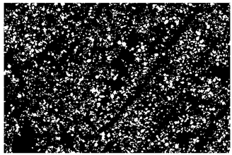 Applsci 12 12240 i004