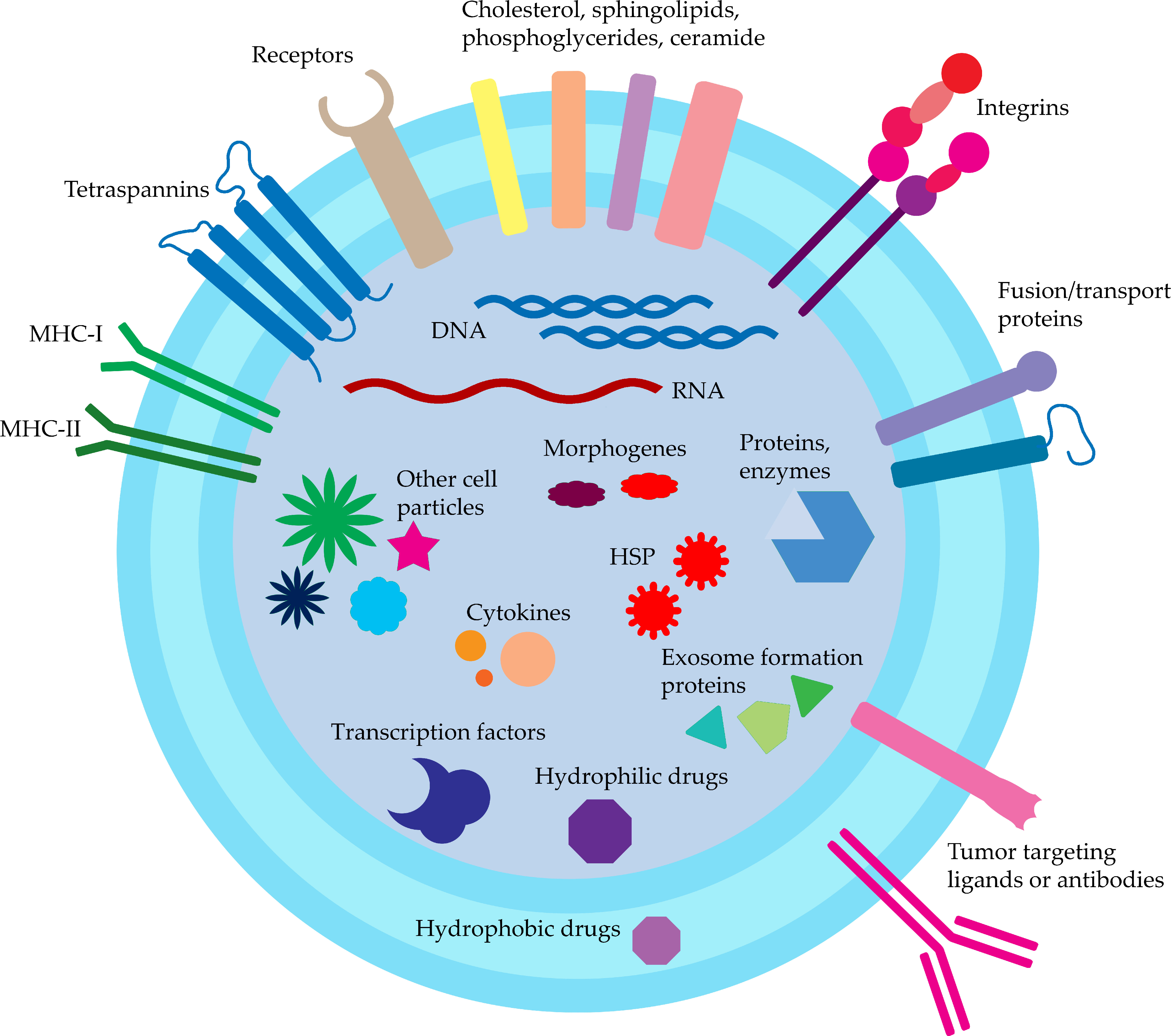 Applied Sciences | Free Full-Text | Origin and Composition of