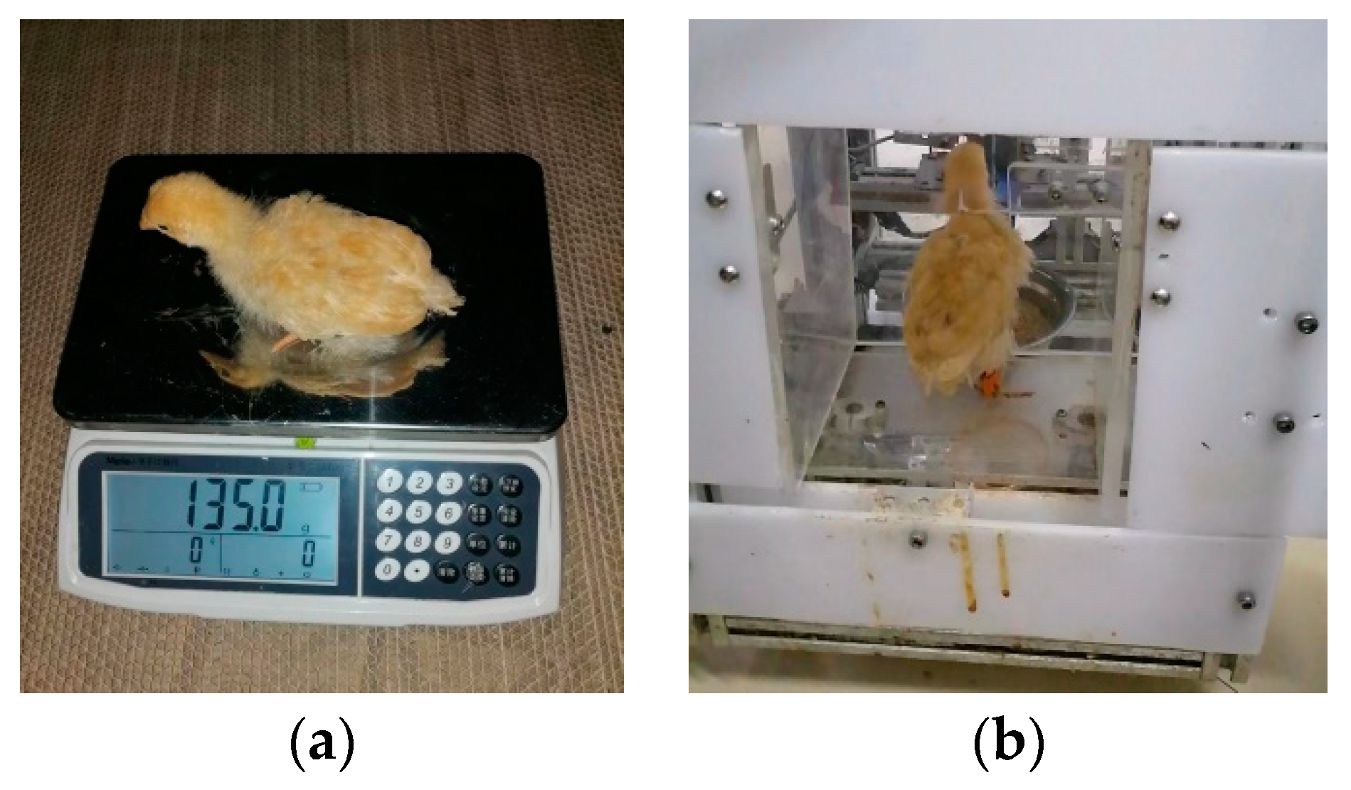 Applsci 12 12339 g005 Applsci 12 12339 g005